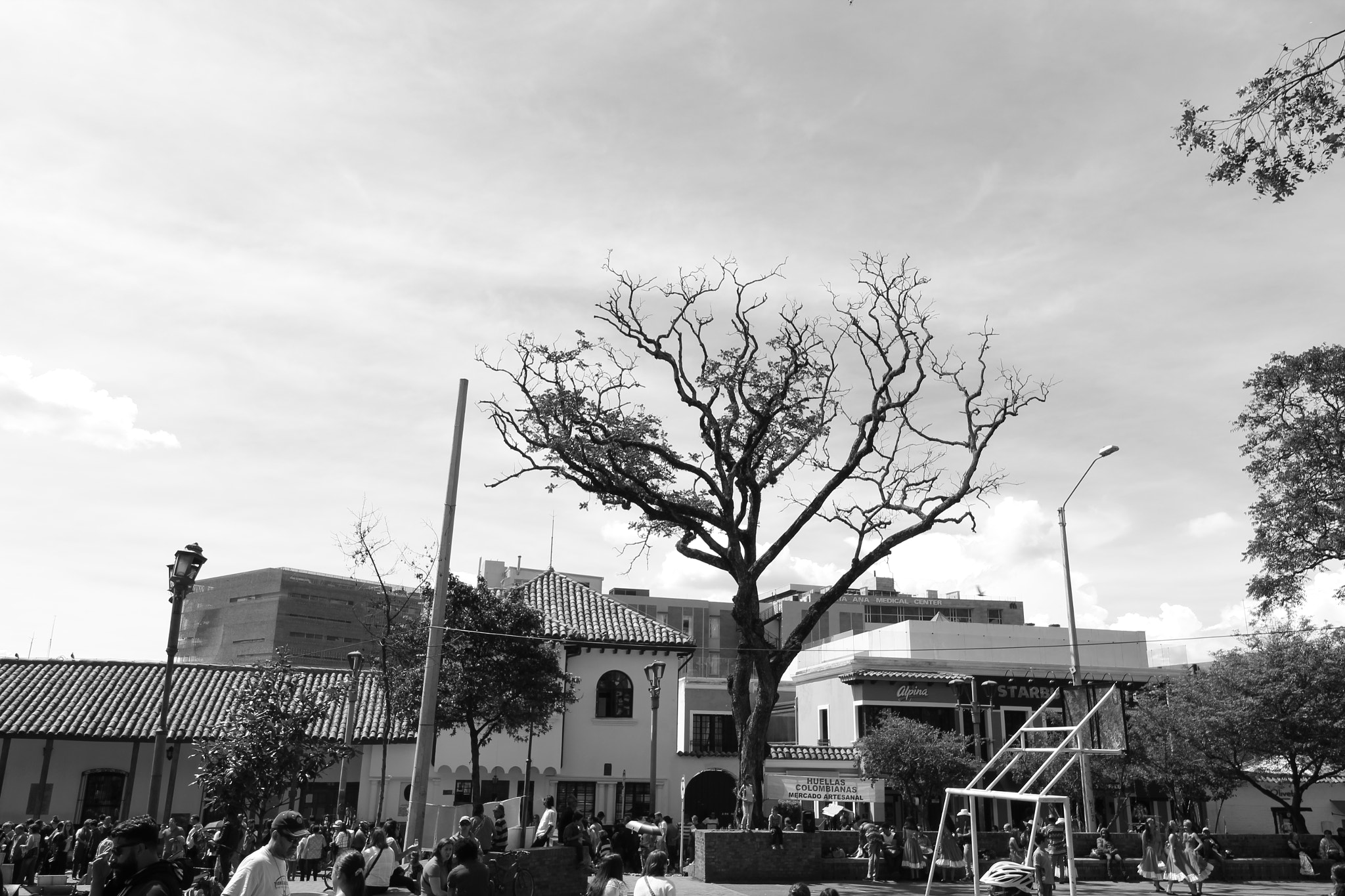 Canon EOS 1200D (EOS Rebel T5 / EOS Kiss X70 / EOS Hi) sample photo. Trees photography