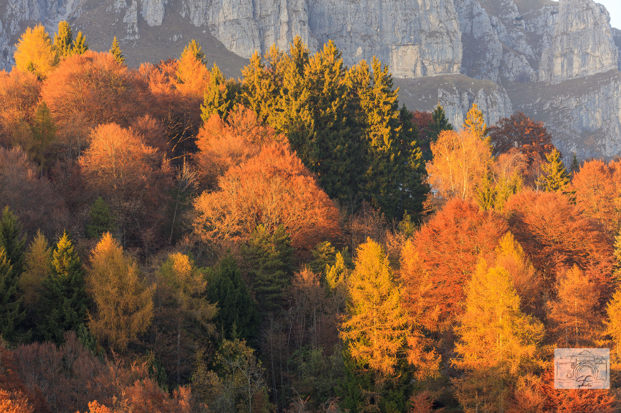 Canon EF 70-300mm F4-5.6L IS USM sample photo. 444201610fpianiresinelli-132 photography