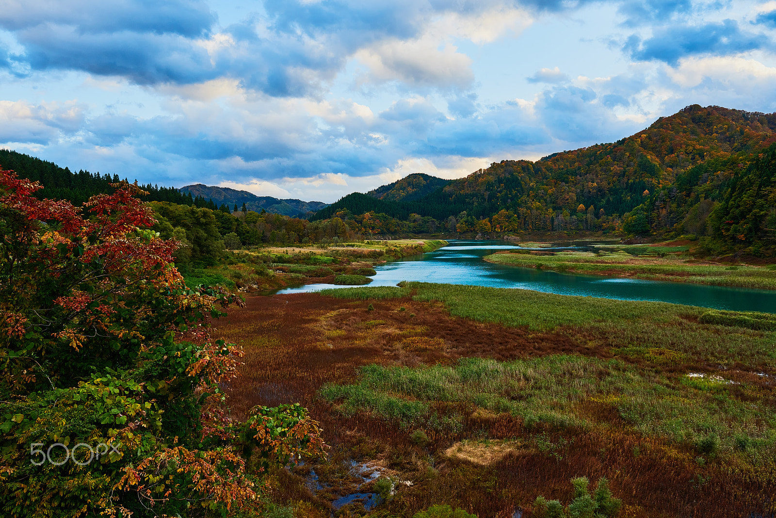 Nikon AF-S Nikkor 24-70mm F2.8G ED sample photo. Calm green river photography