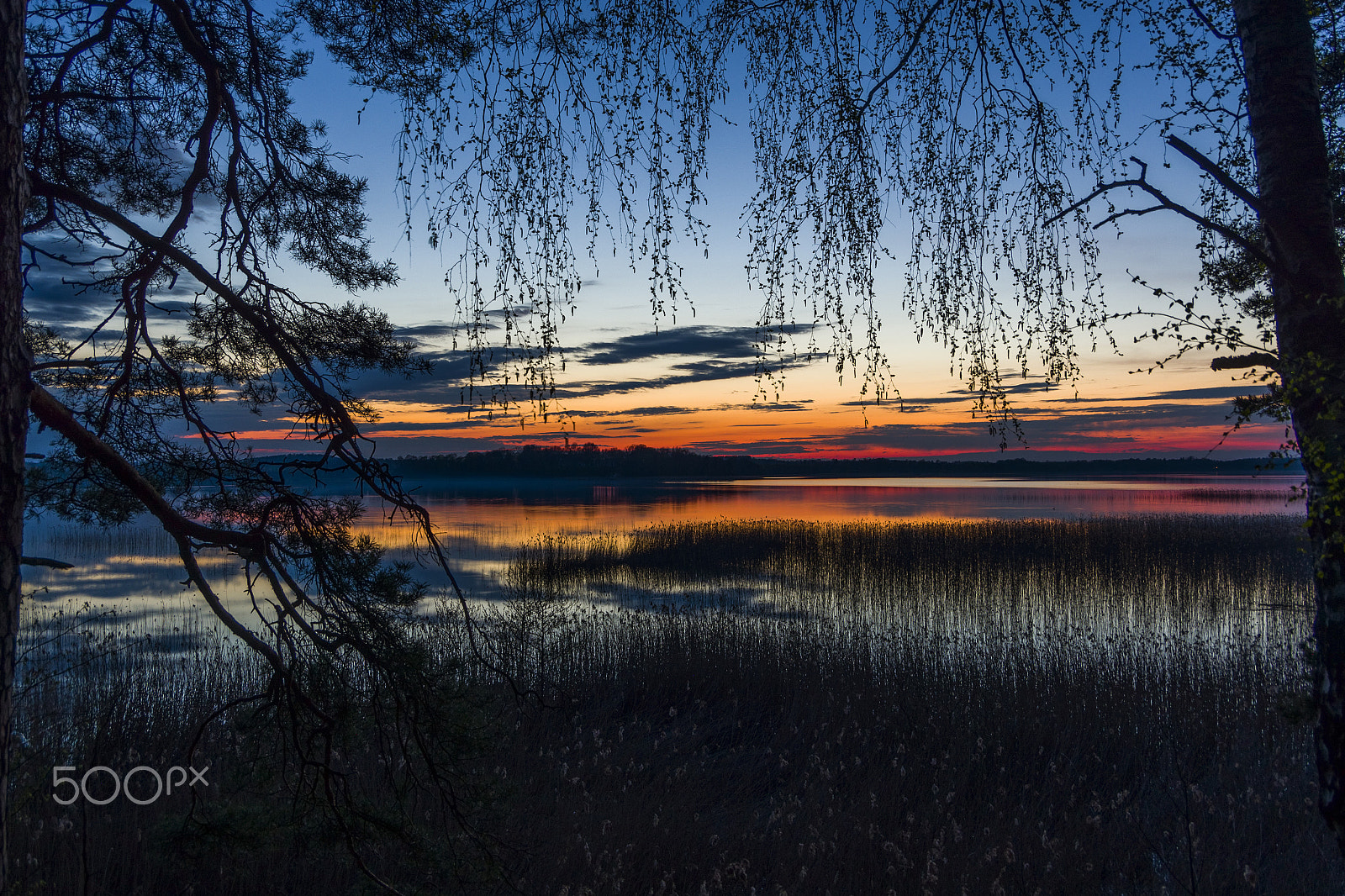 Pentax K-5 II sample photo. Alaušas naktyje photography