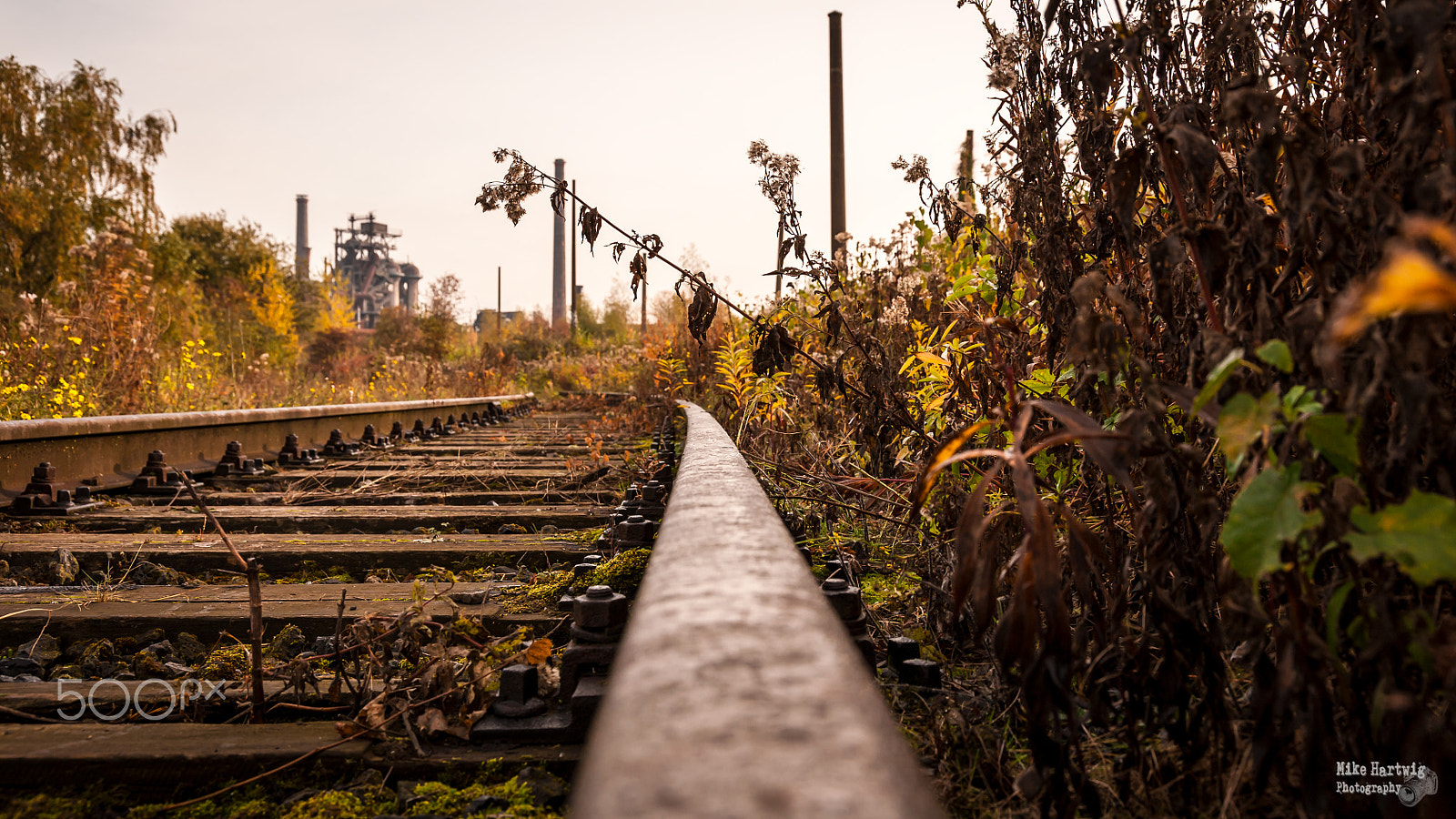 Nikon D700 + Sigma 24-105mm F4 DG OS HSM Art sample photo. Bahngleis photography