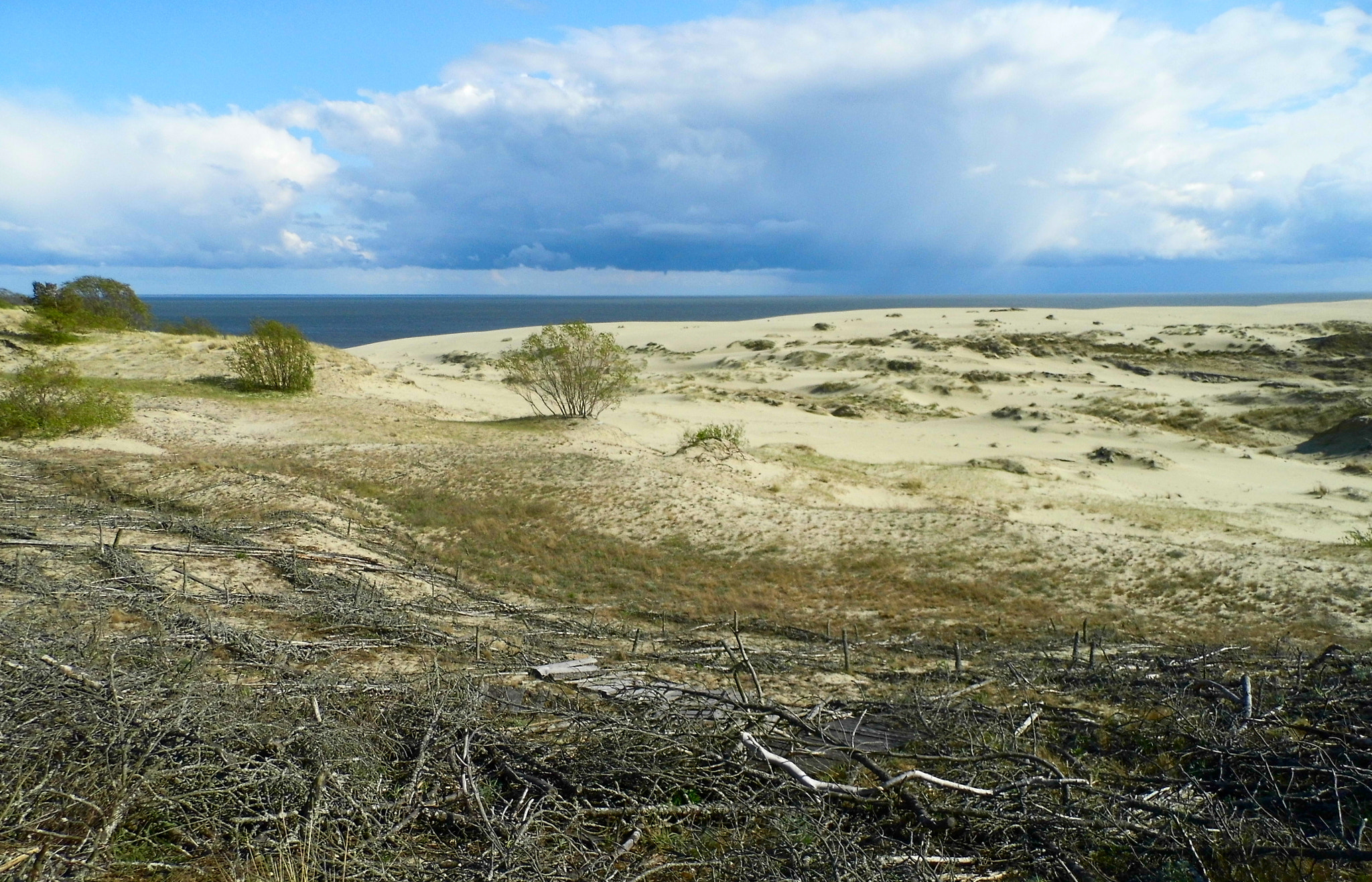 Panasonic Lumix DMC-LZ20 sample photo. Dunes of the curonian spit photography