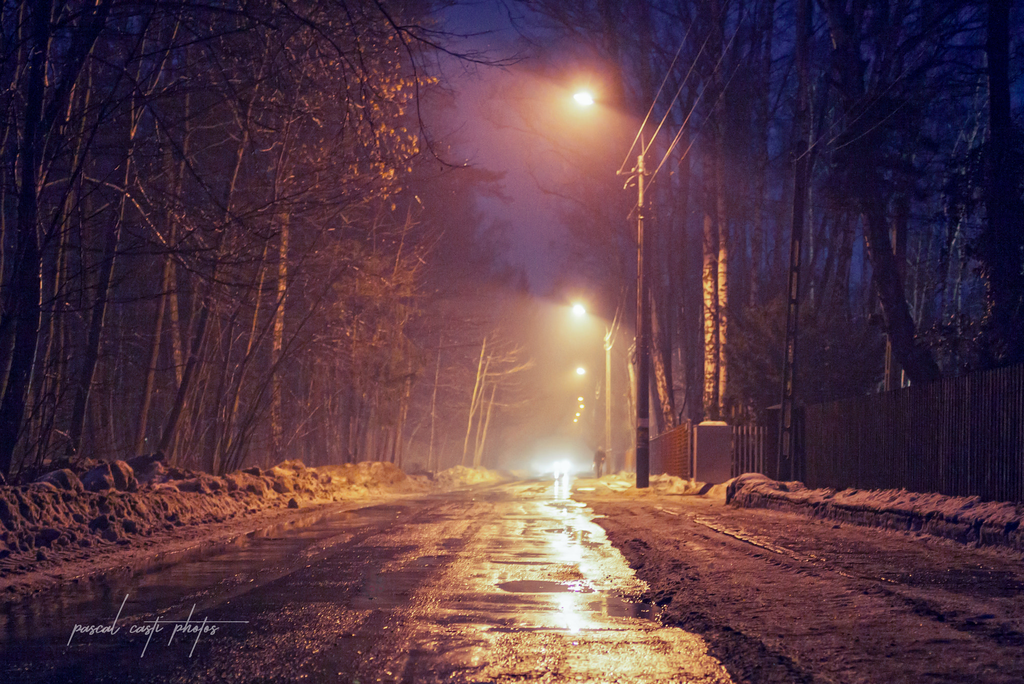 Canon EOS 5D Mark II + Canon EF 35mm F2 sample photo. Poland_podkowa lesna photography