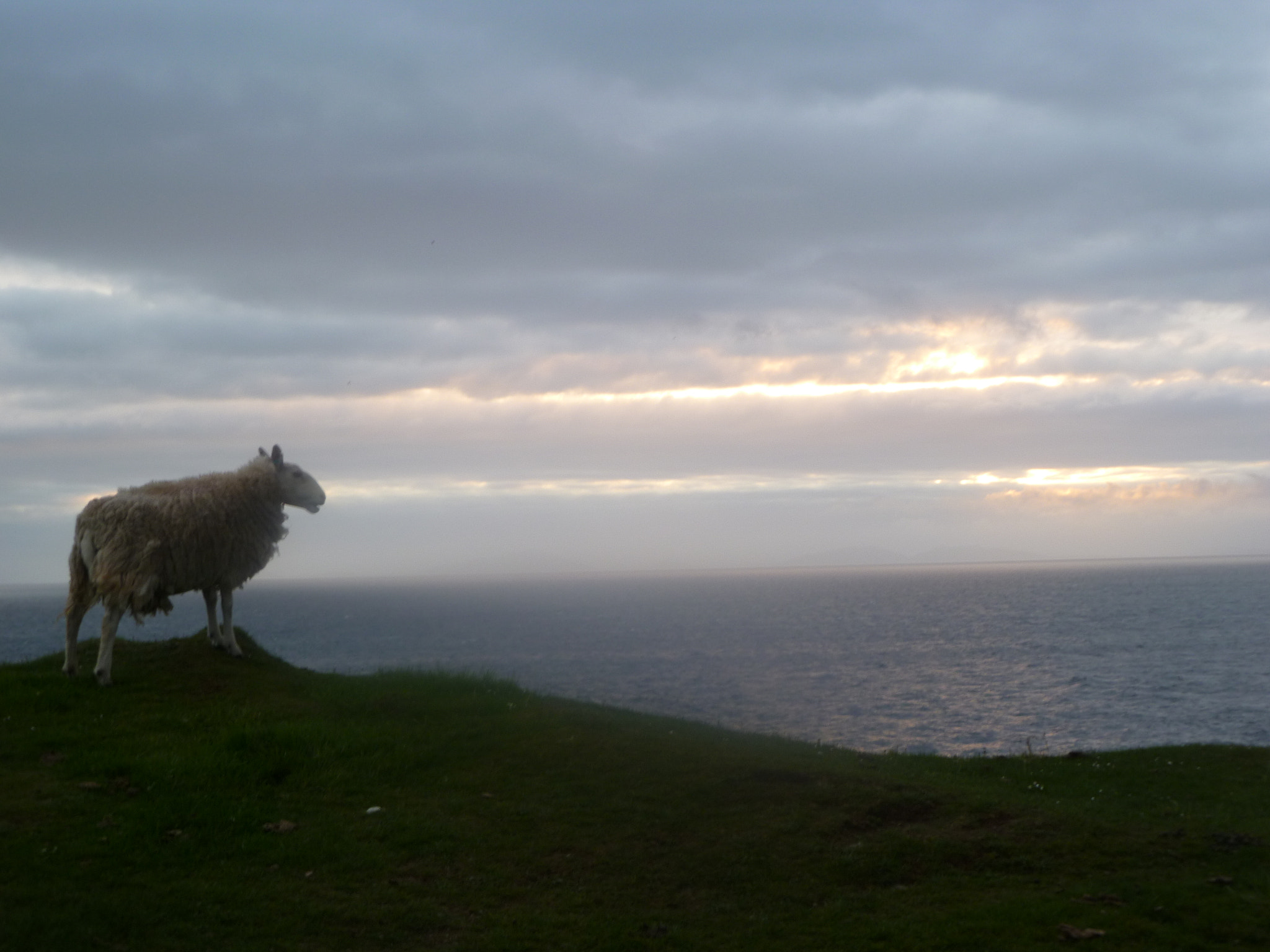 Panasonic DMC-FS30 sample photo. Ile de skye photography