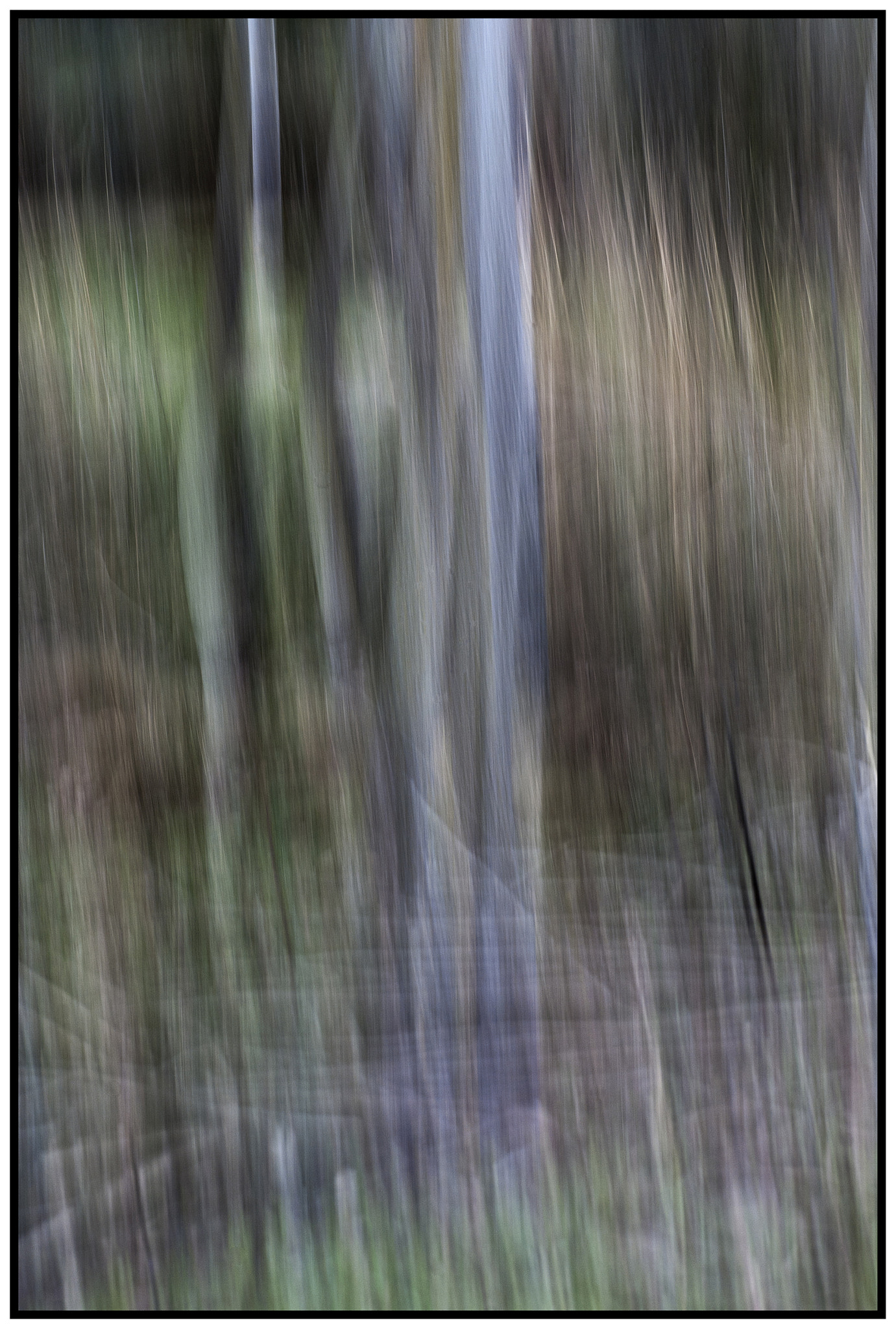 Nikon D80 sample photo. Chopos photography
