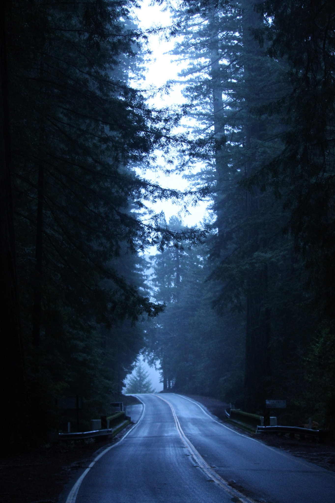 Canon EF-S 55-250mm F4-5.6 IS STM sample photo. Redwood,ca photography