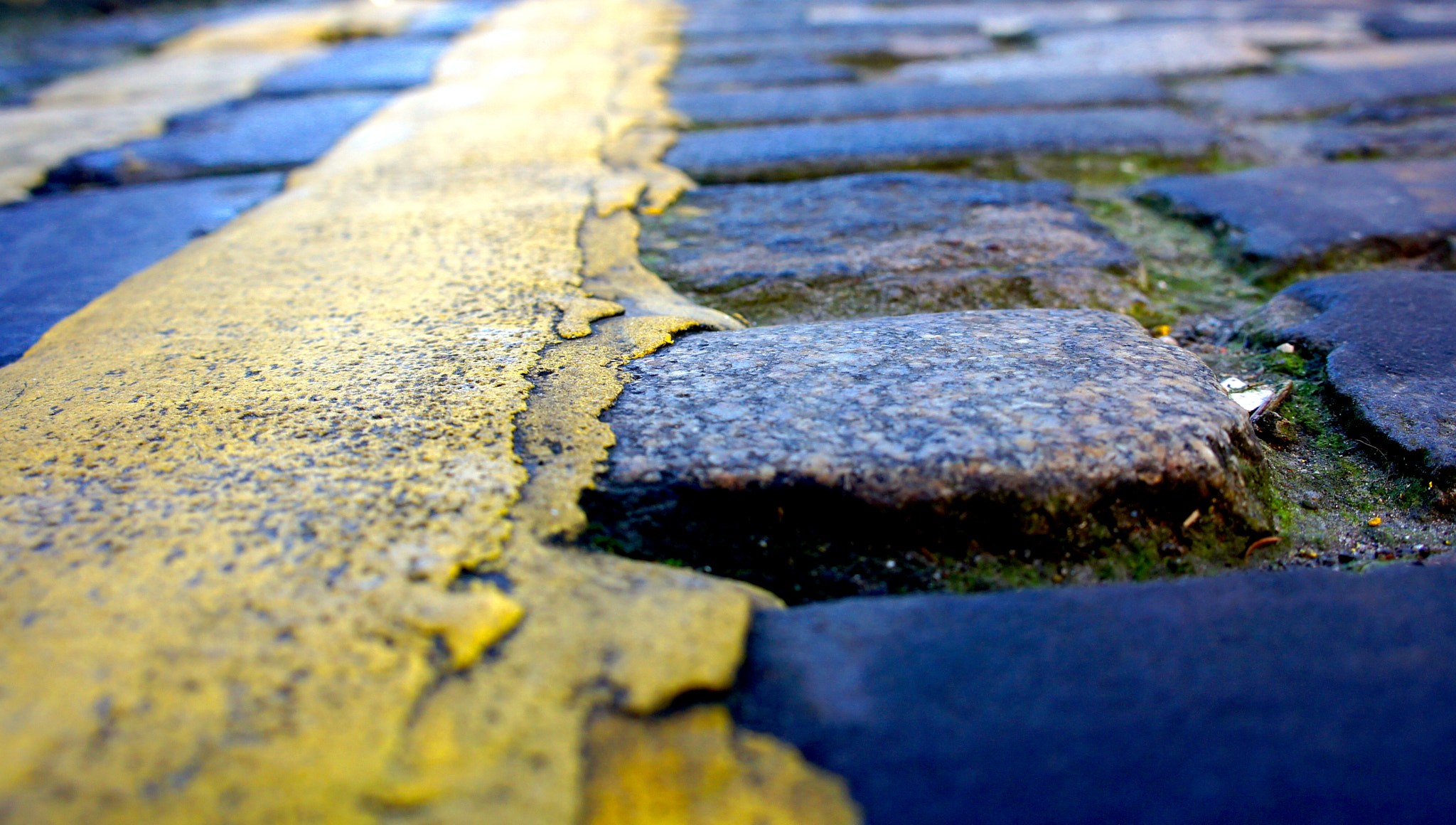 Sony Alpha NEX-5 sample photo. Double yellows... photography