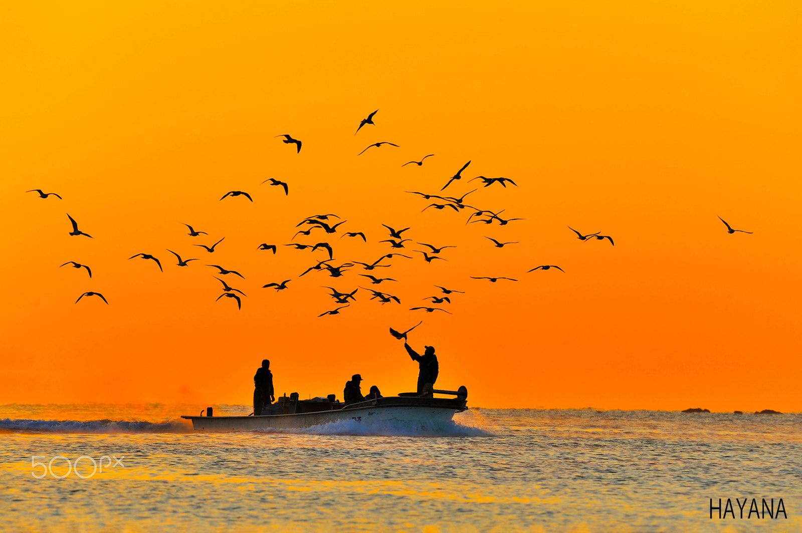 Nikon D3S sample photo. Morning of sea photography