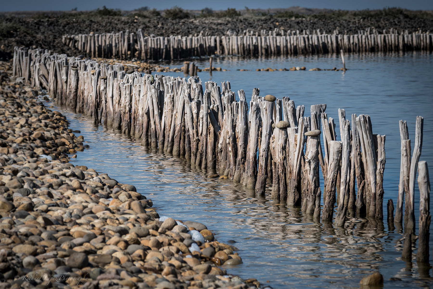 Sigma 70-200mm F2.8 EX DG OS HSM sample photo. Cairn camarguais photography