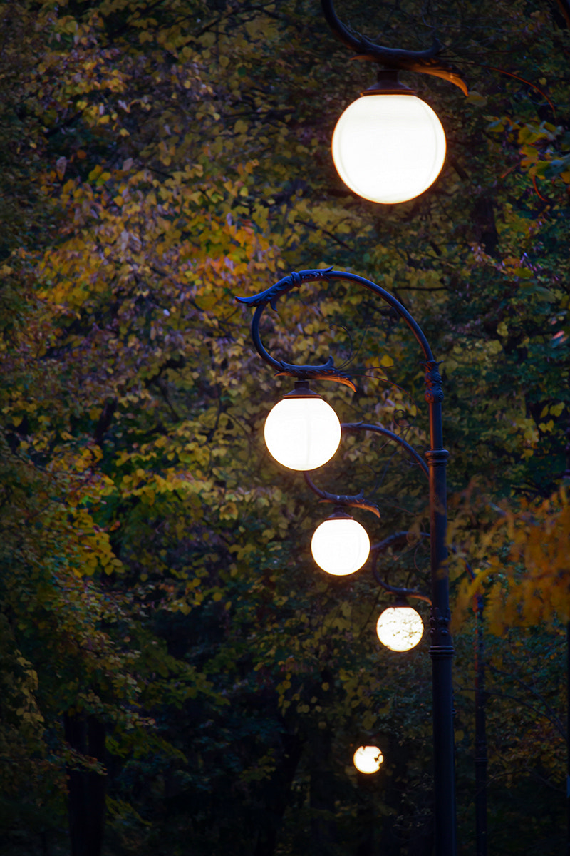 Canon EF-S 55-250mm F4-5.6 IS STM sample photo. Autumn colors (45) photography