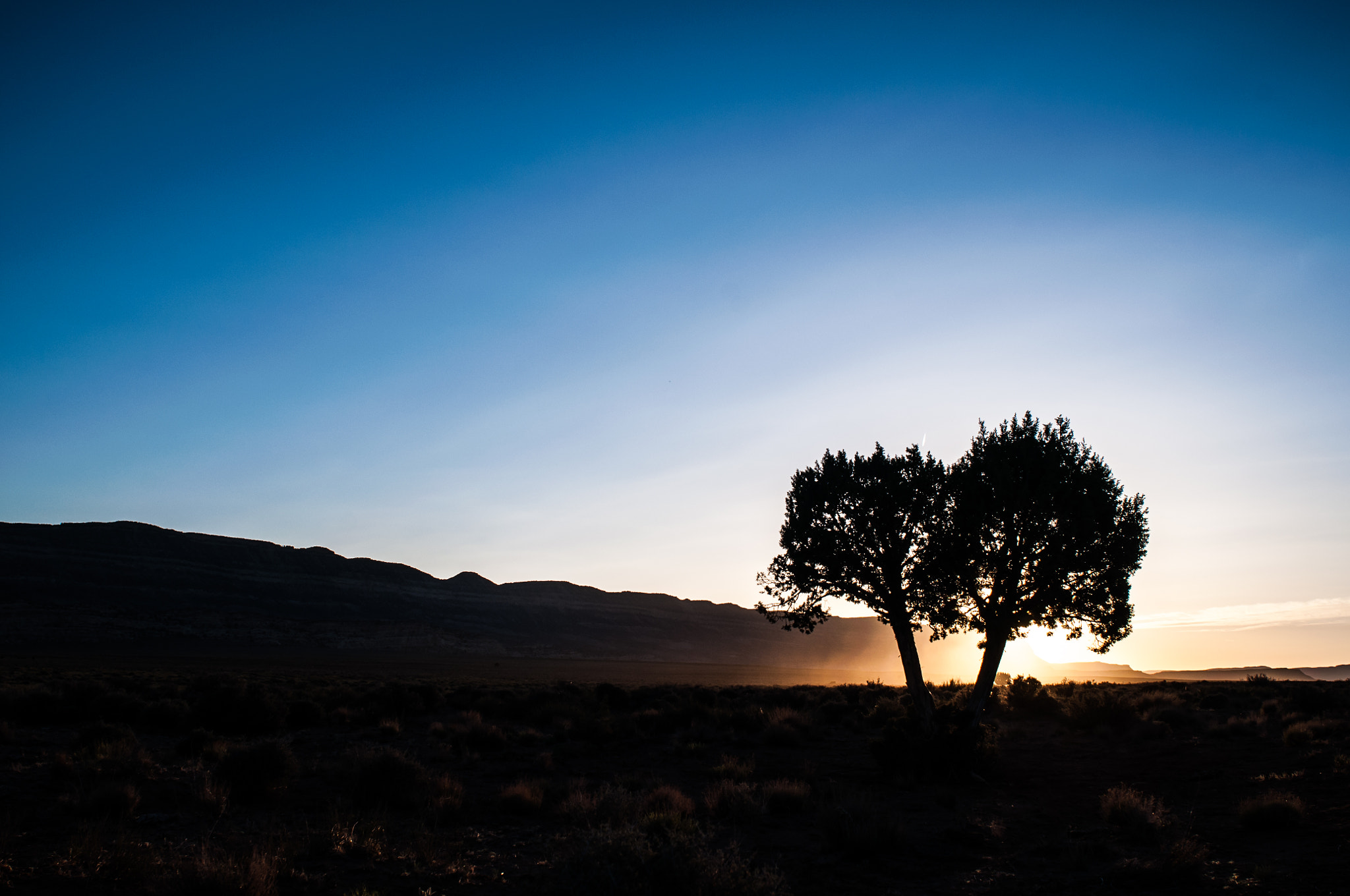 Nikon D300 + AF Nikkor 24mm f/2.8 sample photo. Stock photography