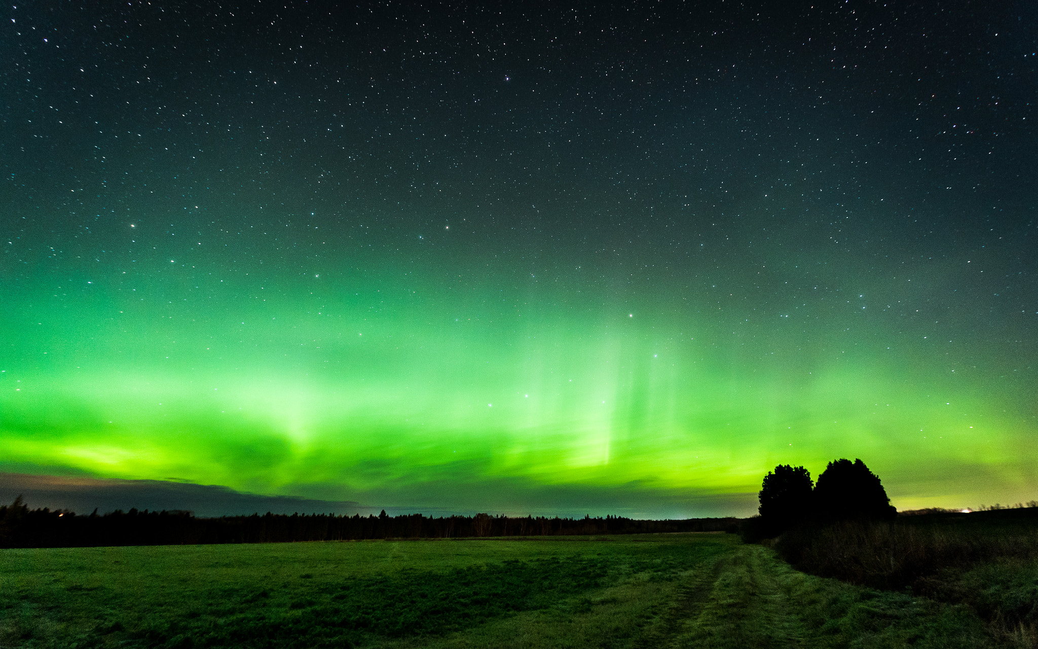 Sony a7S + Sony DT 50mm F1.8 SAM sample photo. Northern lights photography