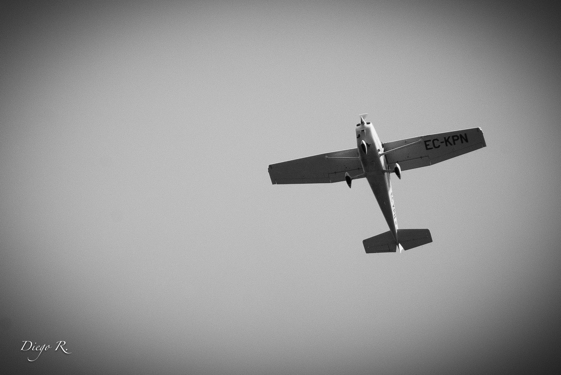 Pentax K200D sample photo. Fly away photography