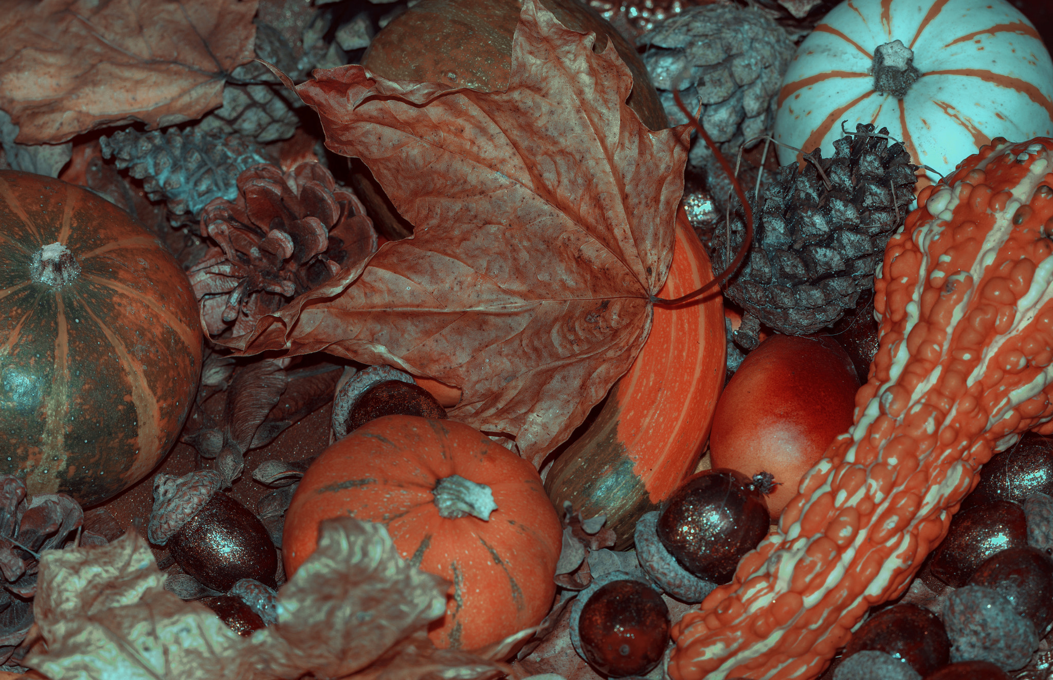 Canon EF 100mm F2.8L Macro IS USM sample photo. Autumn,s vinaigrette photography