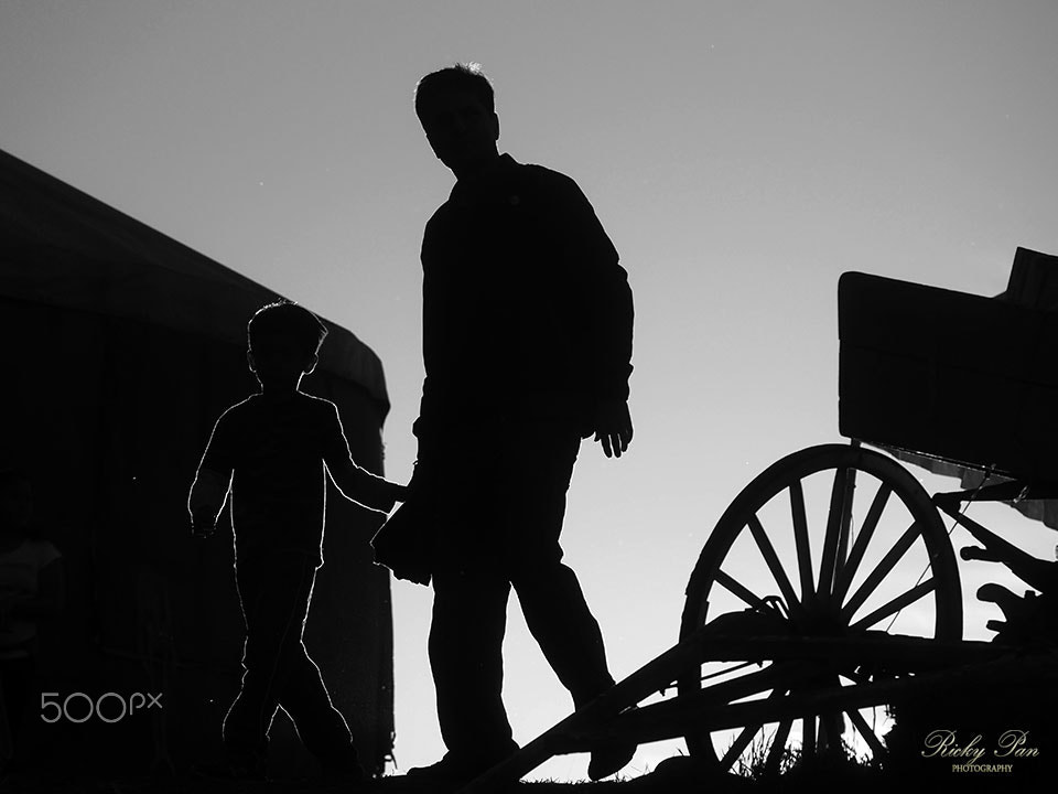 Olympus OM-D E-M5 II sample photo. Returning home photography