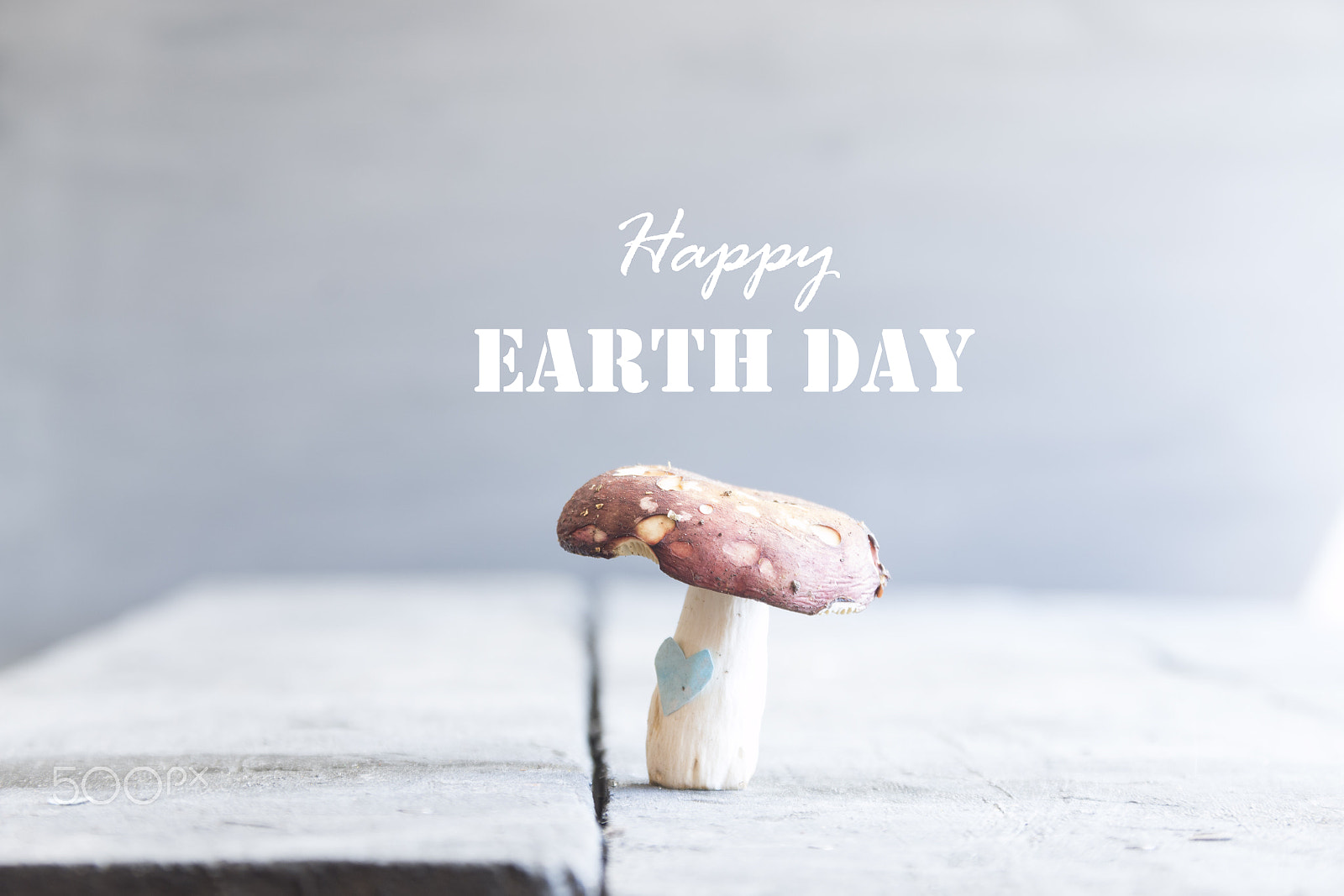 Sigma 18-200mm f/3.5-6.3 DC OS sample photo. Happy earth day card photography