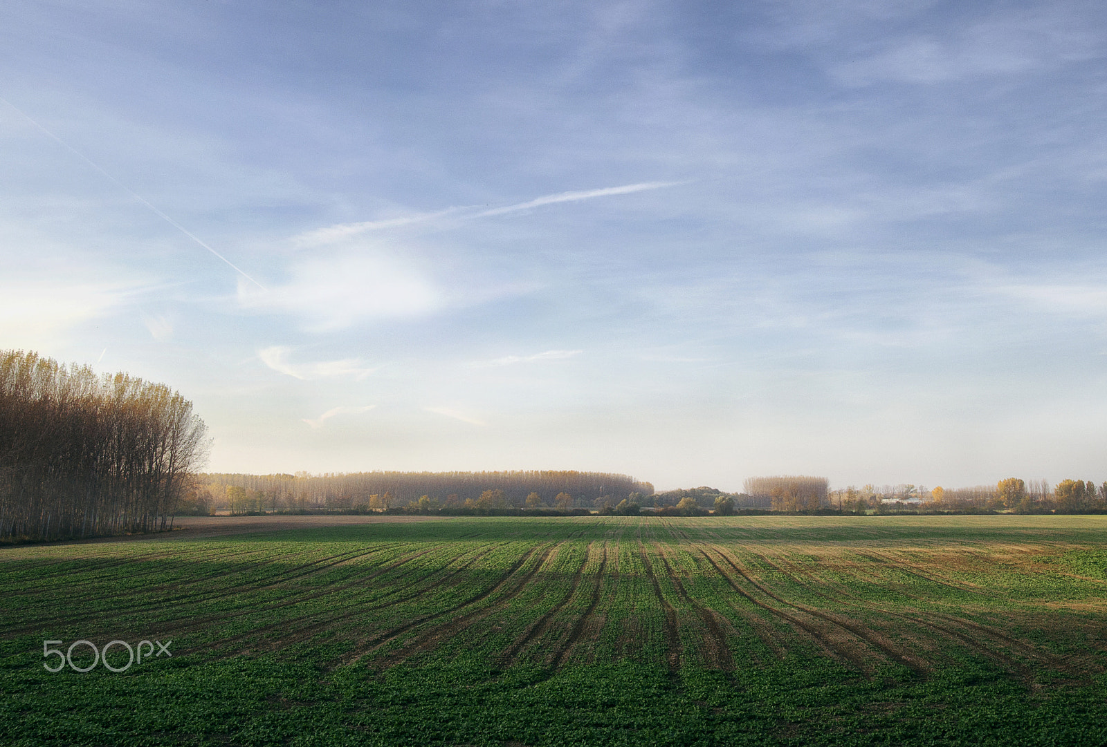 Nikon D5100 + Sigma 10-20mm F3.5 EX DC HSM sample photo. Autumn lights photography