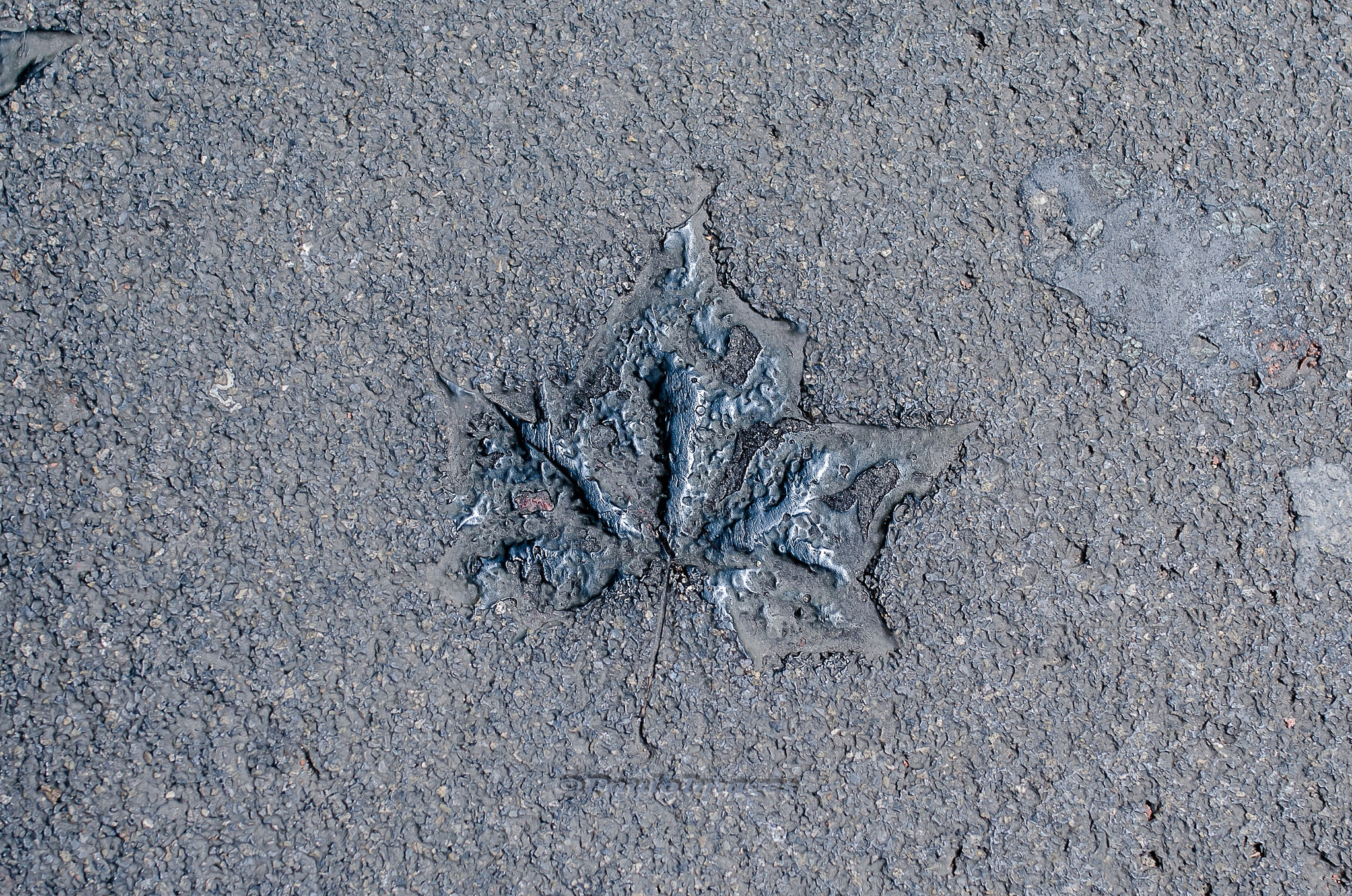 Nikon D7000 + Sigma 35mm F1.4 DG HSM Art sample photo. Concrete leaf photography