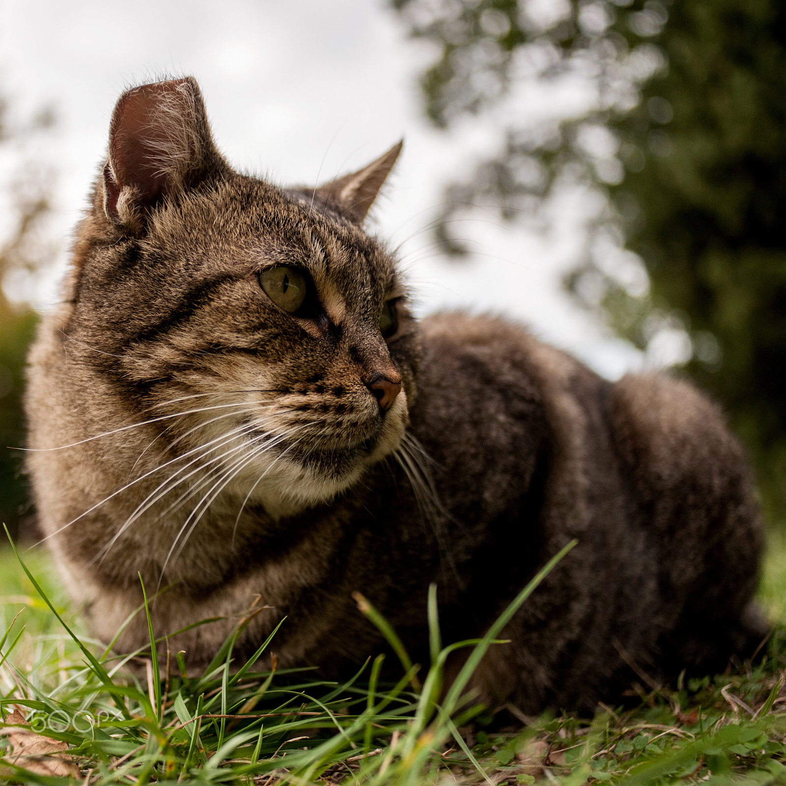 Nikon D700 + Nikon AF Nikkor 28mm F2.8D sample photo. My good side photography