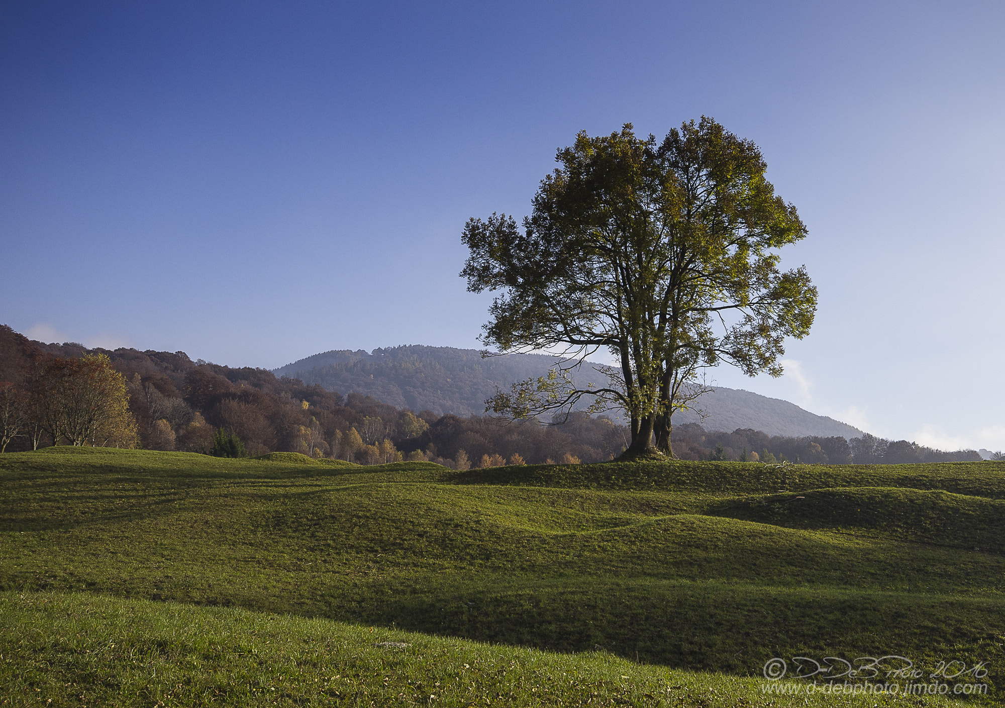 Pentax K-5 sample photo. Autumn photography