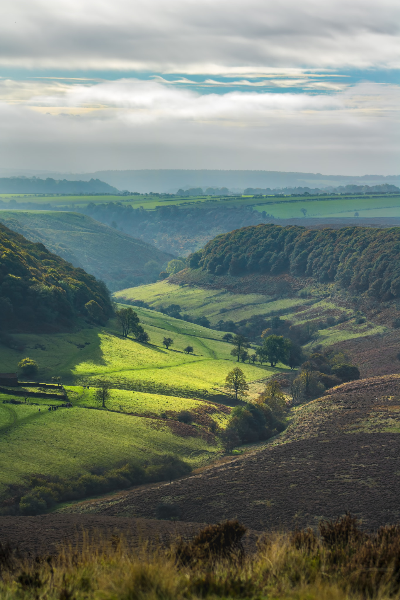 Canon EOS 760D (EOS Rebel T6s / EOS 8000D) sample photo. Hazey day in the moors photography