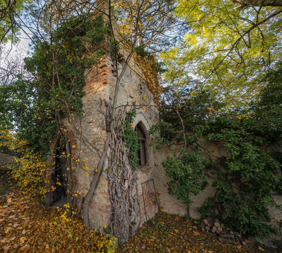 Sigma 12-24mm F4.5-5.6 II DG HSM sample photo. Ruin photography