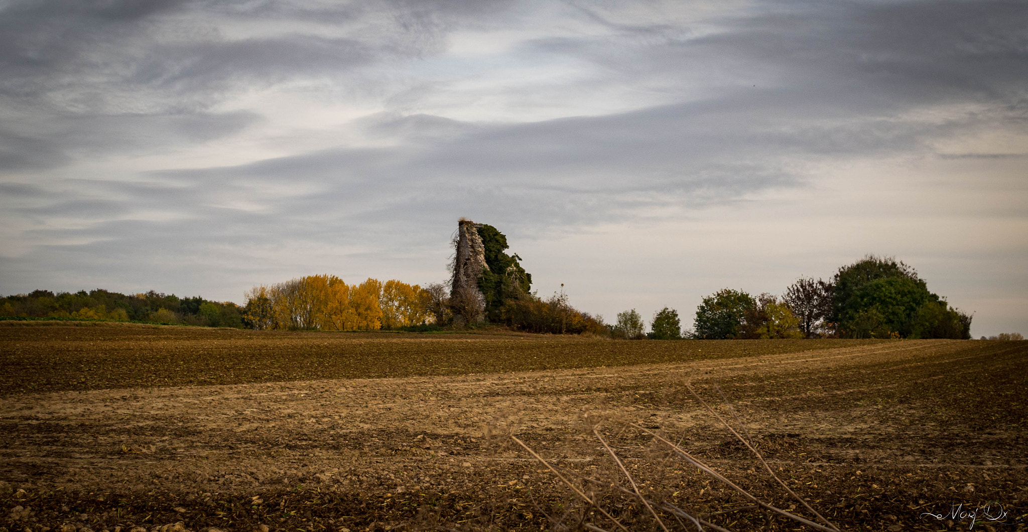 Olympus OM-D E-M10 II + Sigma 30mm F2.8 DN Art sample photo. Automne photography