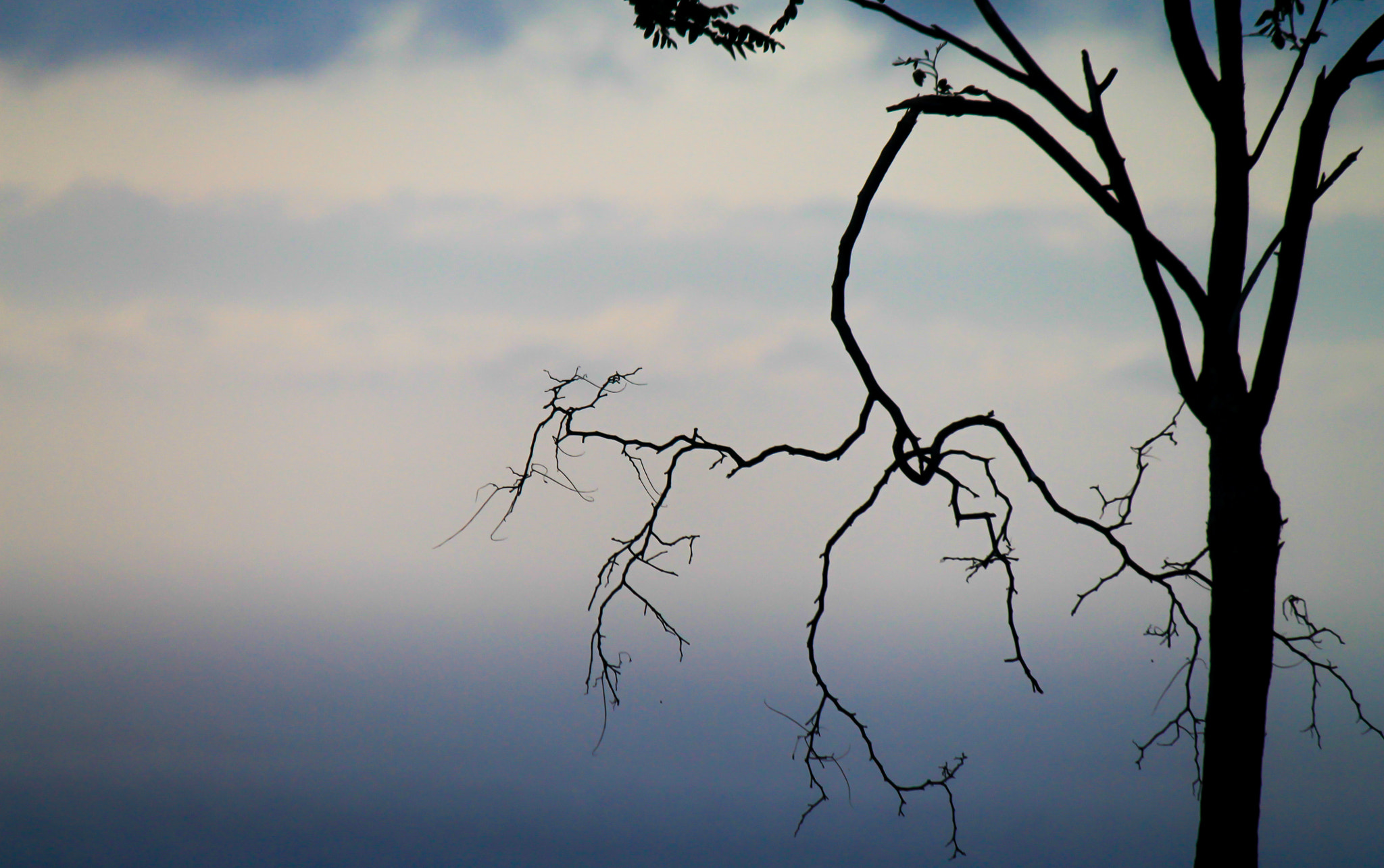 Canon EF-S 55-250mm F4-5.6 IS sample photo. Tristezas ::  sadness :: tristesse photography