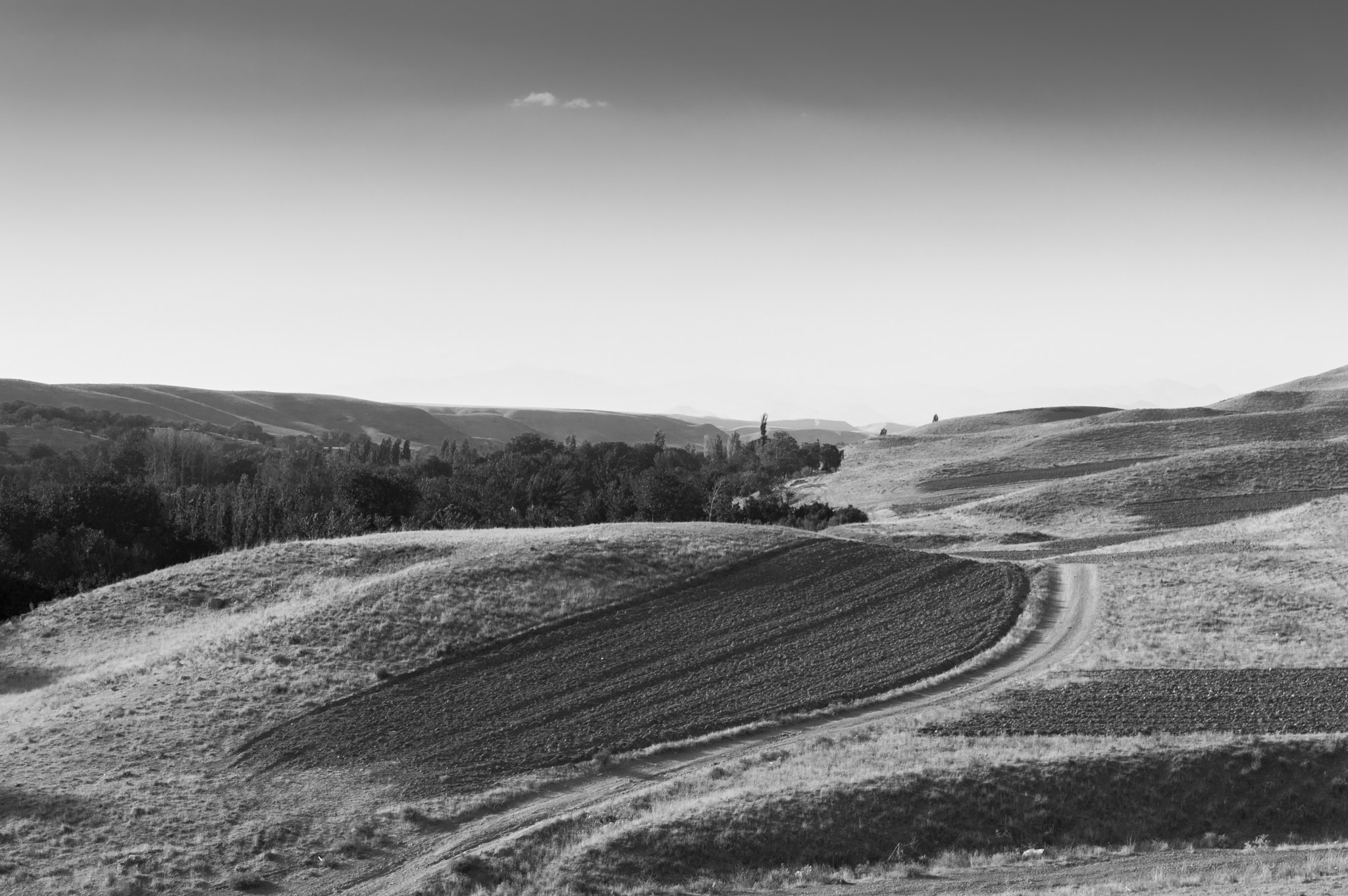 Nikon D3200 sample photo. Road photography
