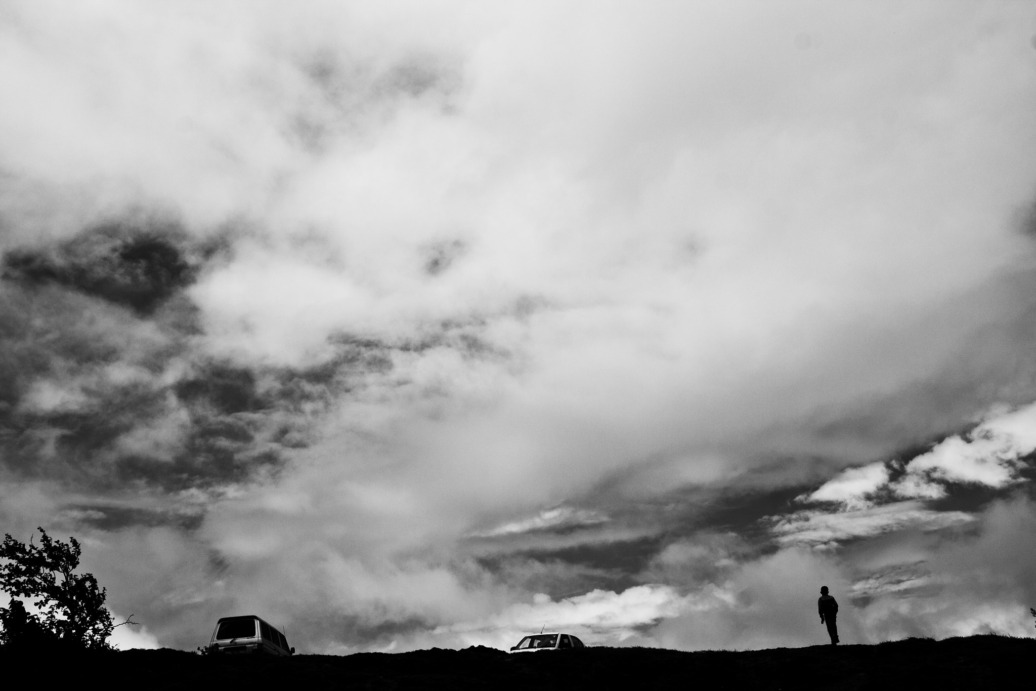 Canon EF-S 24mm F2.8 STM sample photo. Wild photography