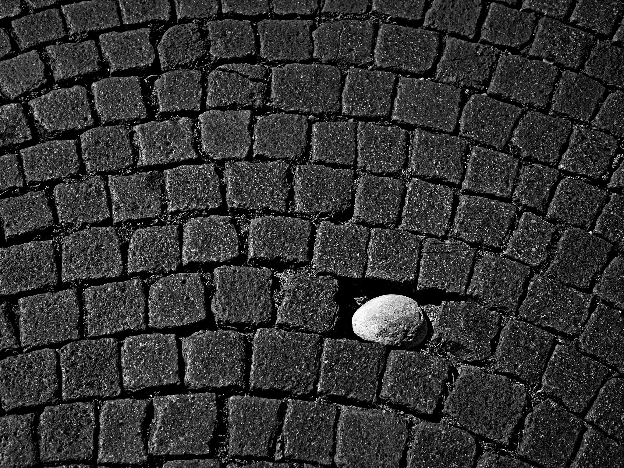 Panasonic Lumix G Macro 30mm F2.8 ASPH Mega OIS sample photo. Improvisation photography