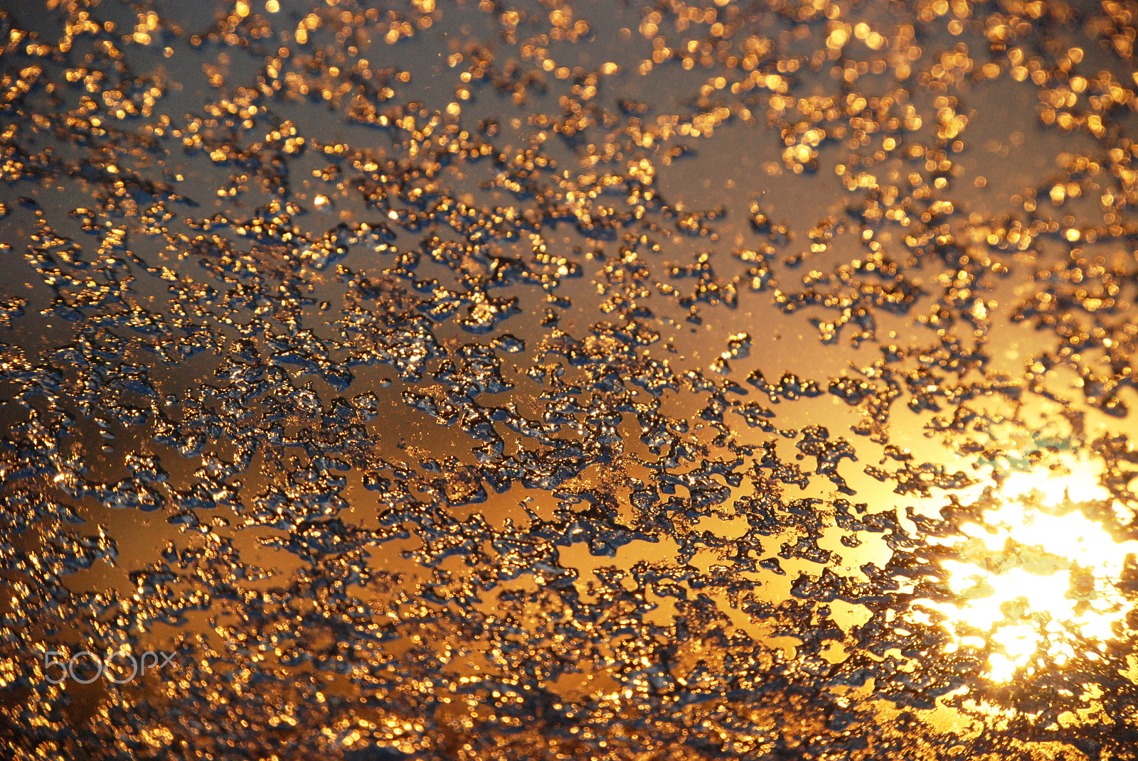 Nikon D80 sample photo. Ice and sun photography