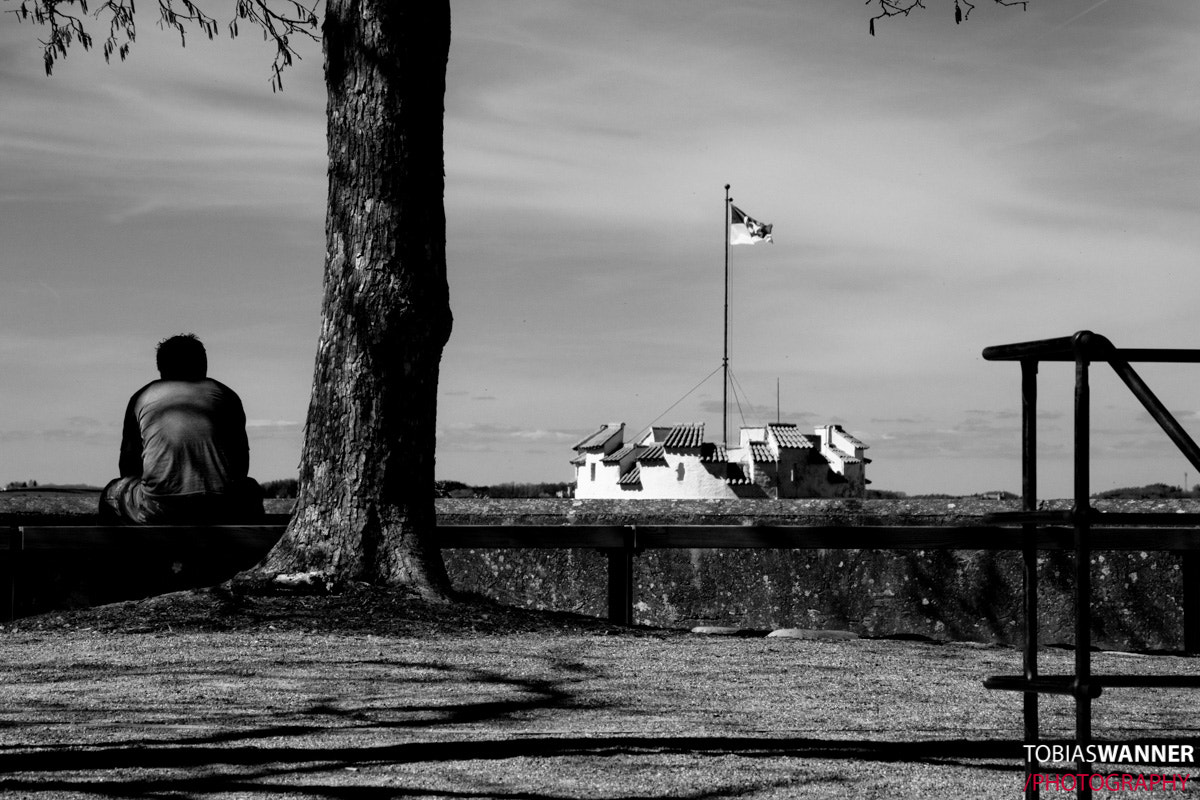 Sigma 18-250mm F3.5-6.3 DC OS HSM sample photo. Thinking about life photography