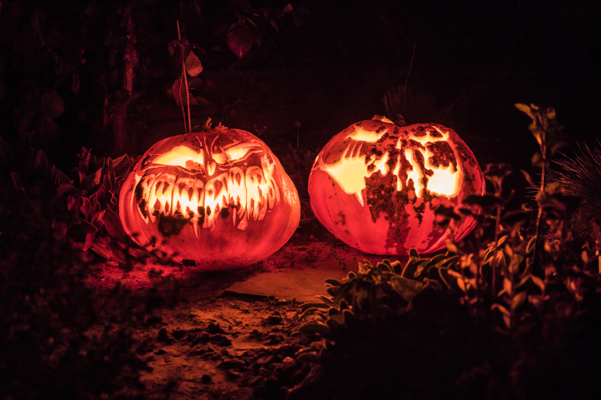 Canon EOS 750D (EOS Rebel T6i / EOS Kiss X8i) sample photo. Pumpkins photography