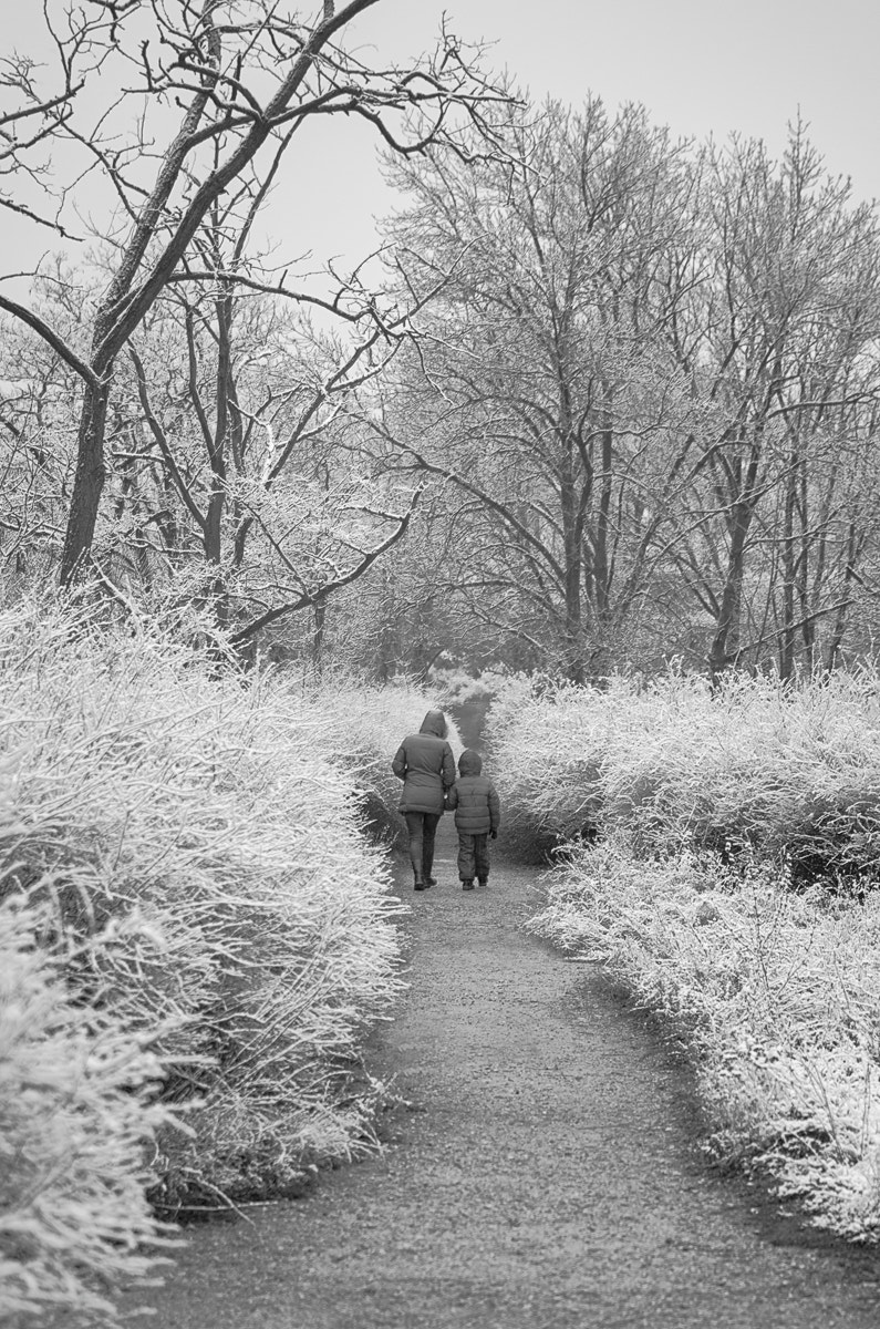 Pentax K-50 sample photo. The first snow photography