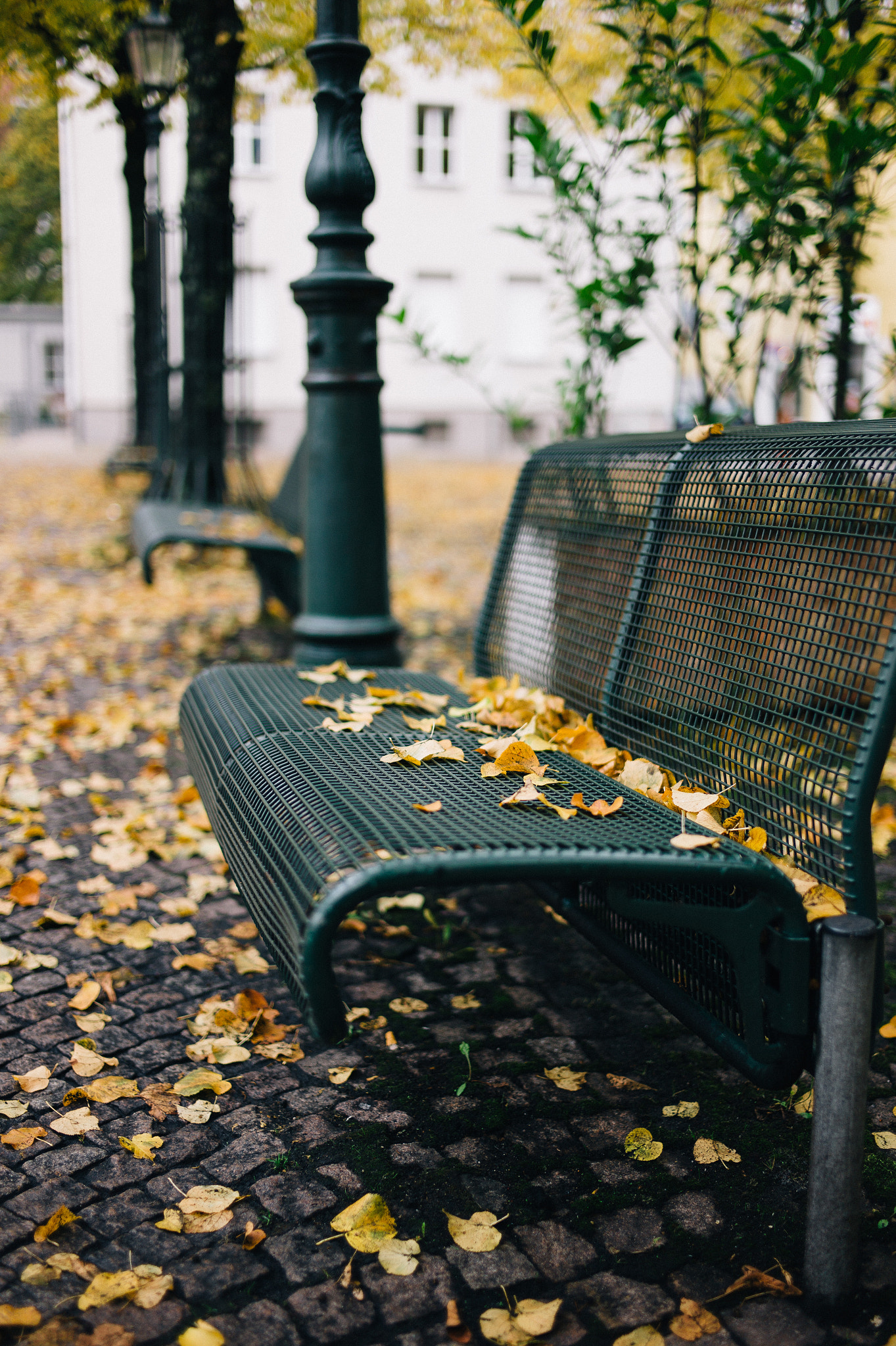 Leica M9 + Leica Summilux-M 35mm F1.4 ASPH sample photo. - photography