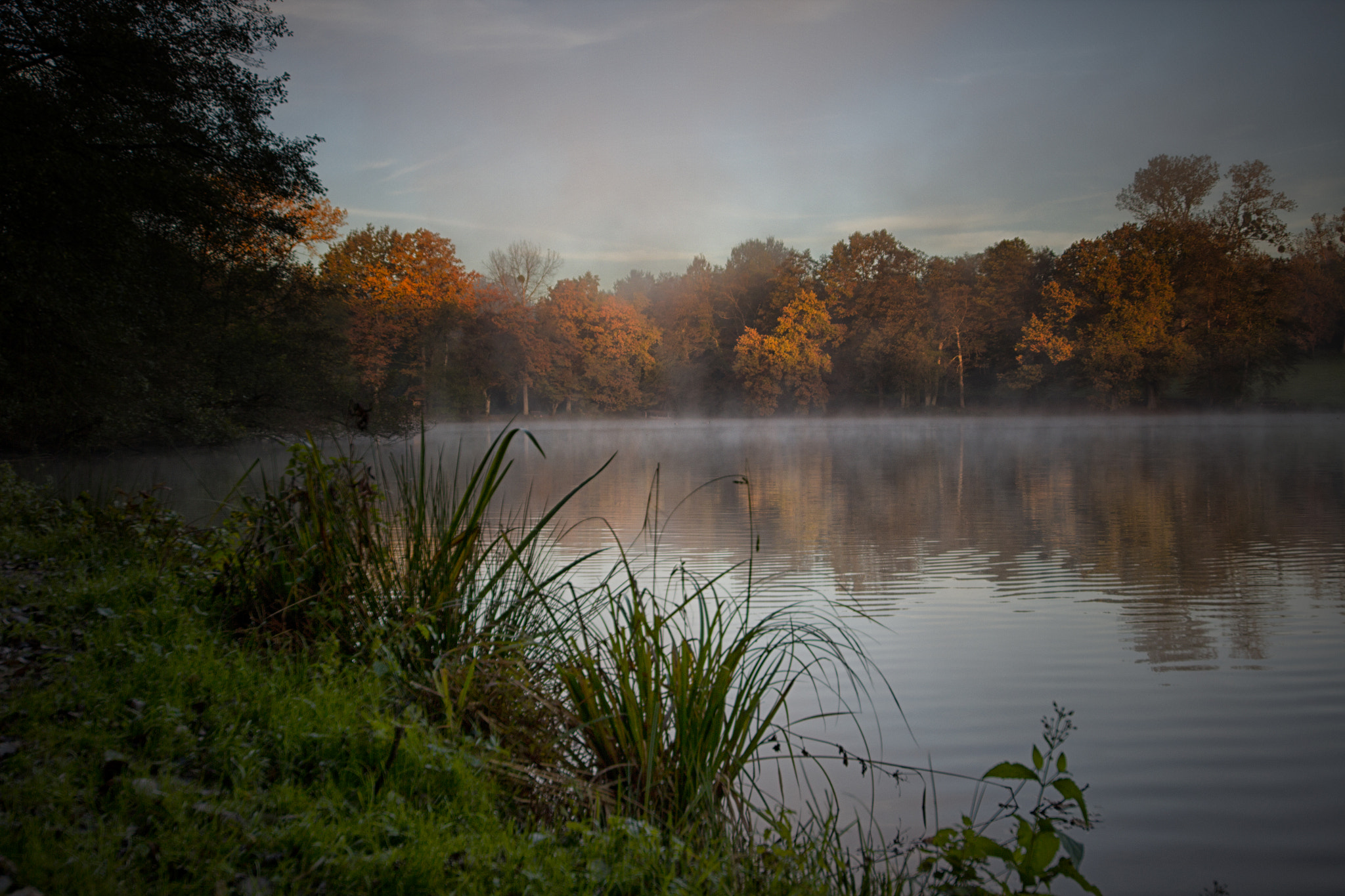 Canon EOS 60D + Sigma 12-24mm F4.5-5.6 II DG HSM sample photo. étang photography