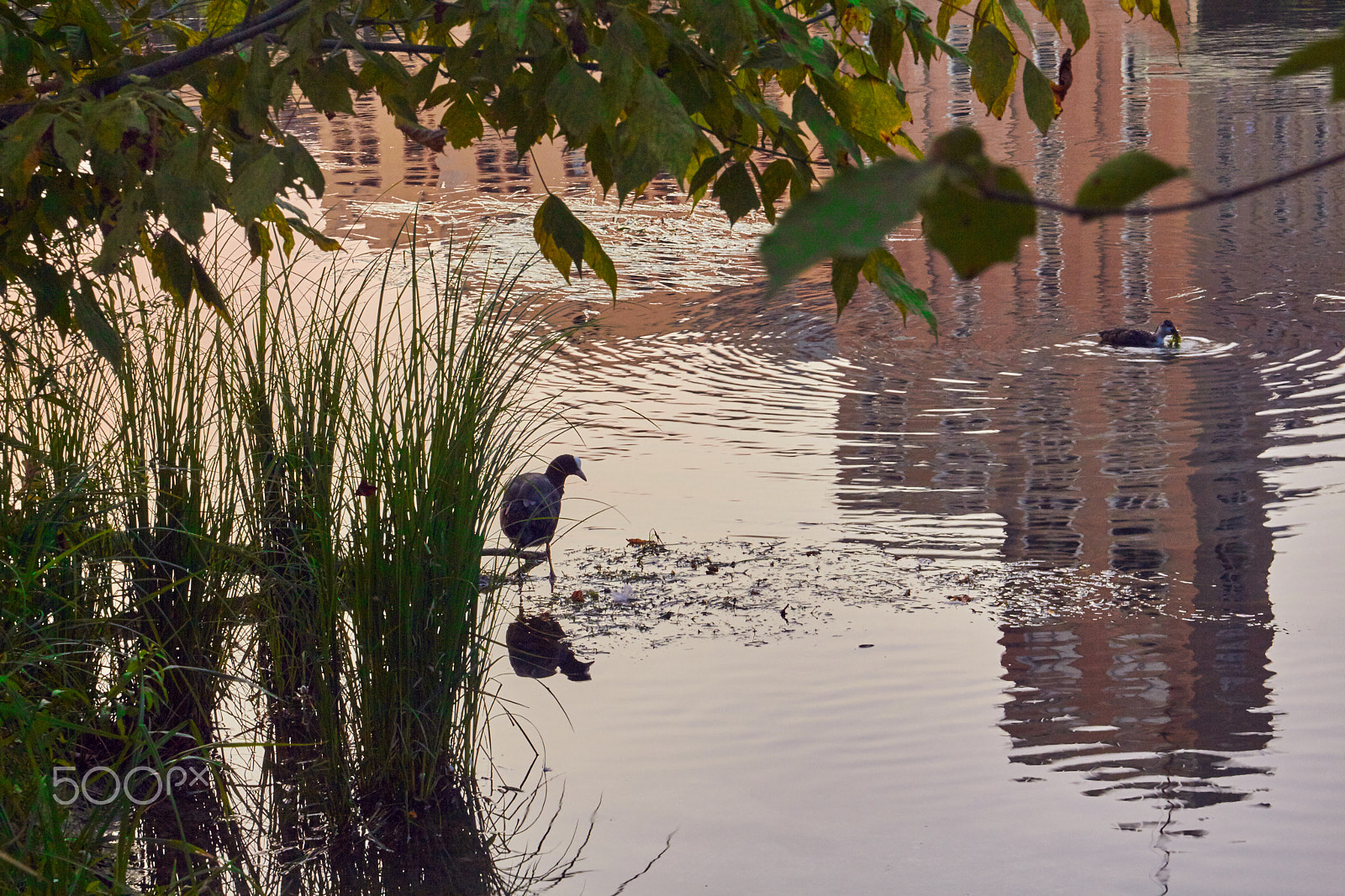 Canon EF 24-70mm F4L IS USM sample photo. . photography