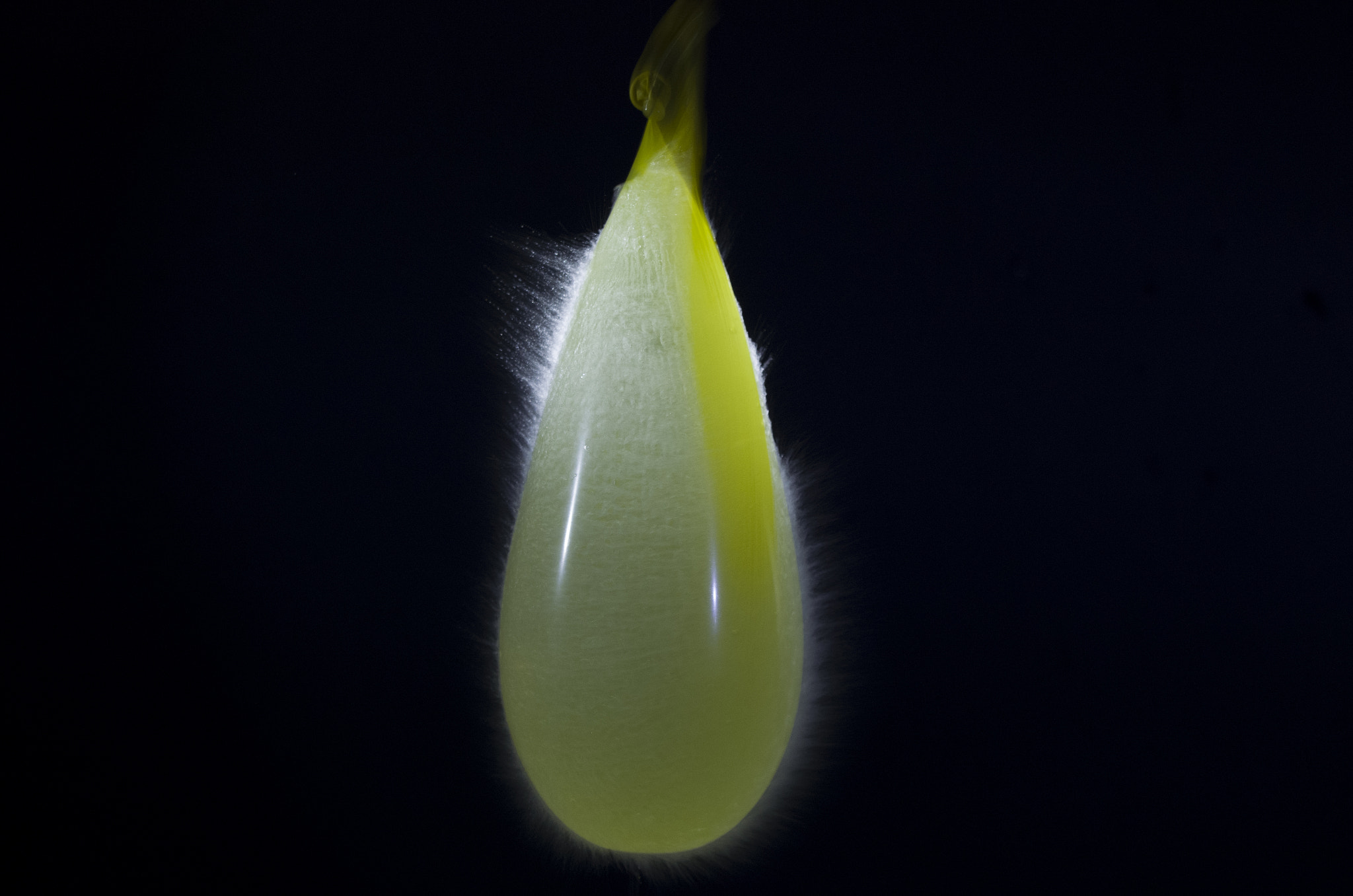 Sigma 50-500mm F4.5-6.3 DG OS HSM sample photo. Exploding water balloon test-2 photography