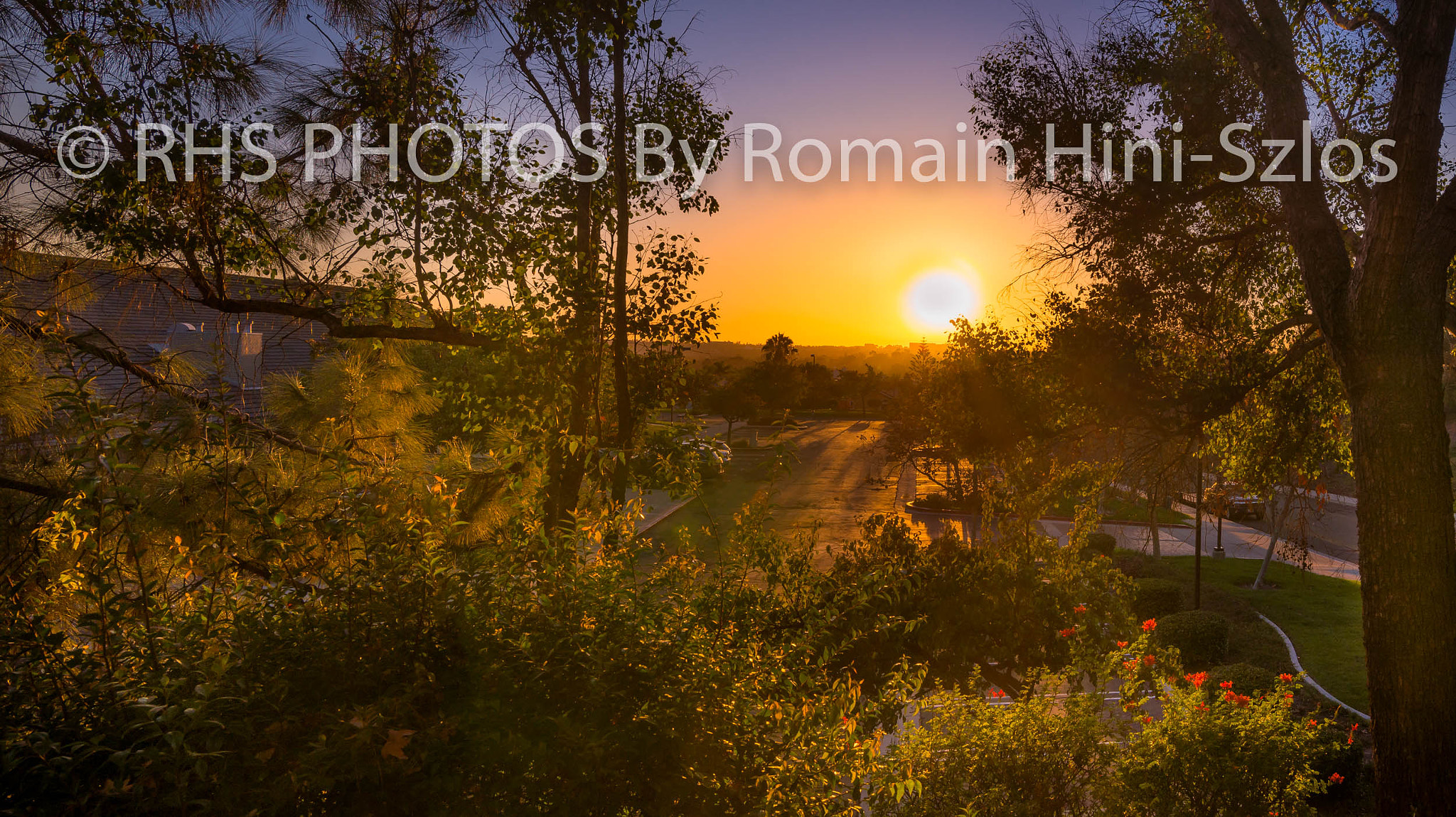 Nikon D610 sample photo. Sunset from carlsbad photography