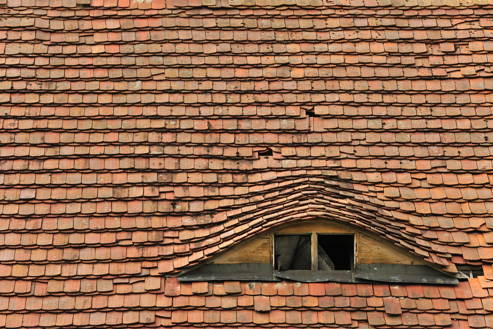 Sigma 150-600mm F5-6.3 DG OS HSM | C sample photo. Window photography