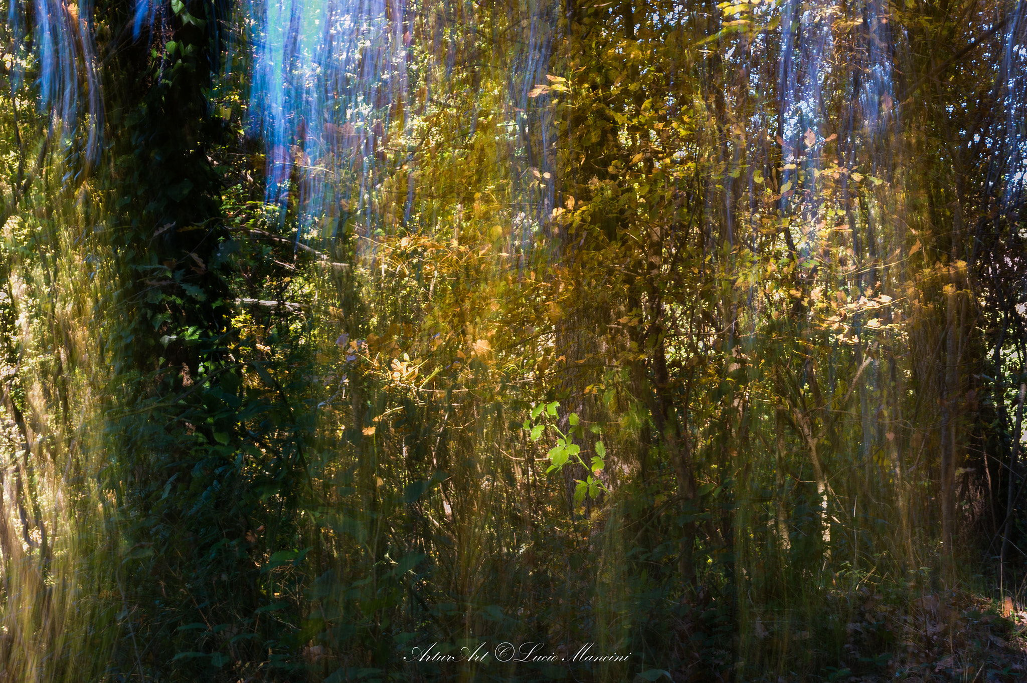 Nikon Df sample photo. Ars photography