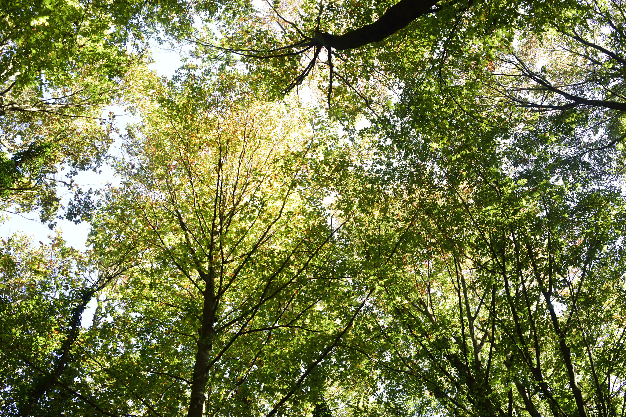 Sigma 24-70mm F2.8 EX DG HSM sample photo. Dsc photography