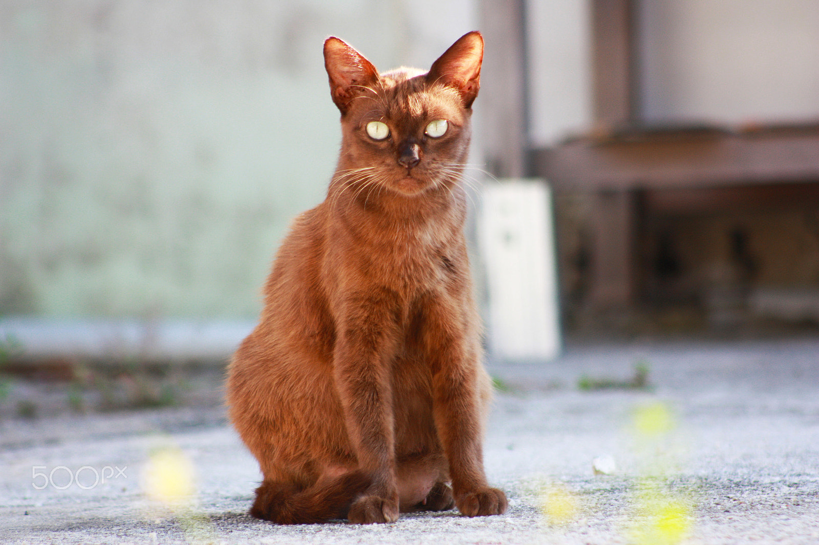 Canon EF 75-300mm f/4-5.6 USM sample photo. Were were photography