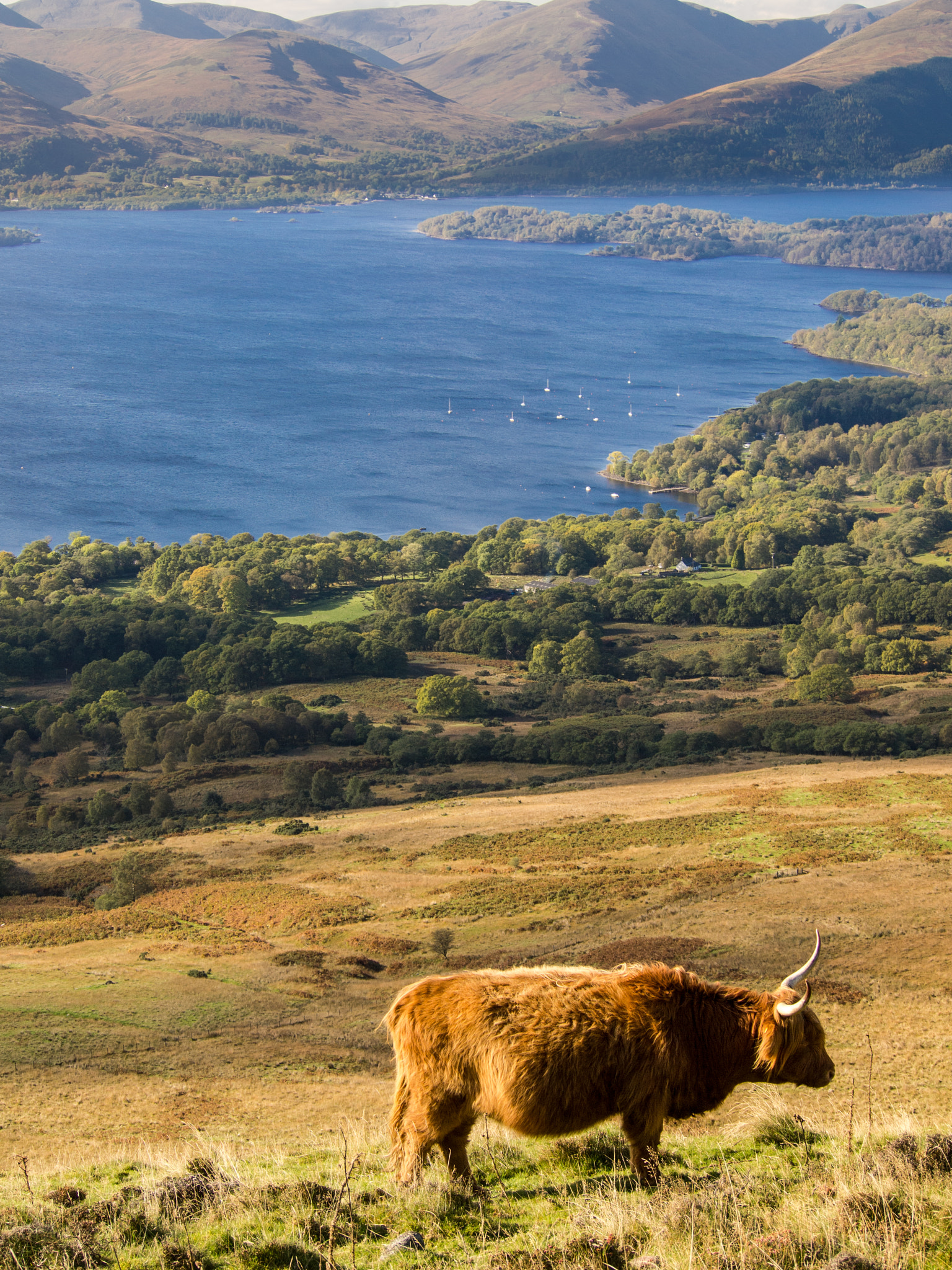 Olympus PEN E-PL1 sample photo. Loch lomond photography