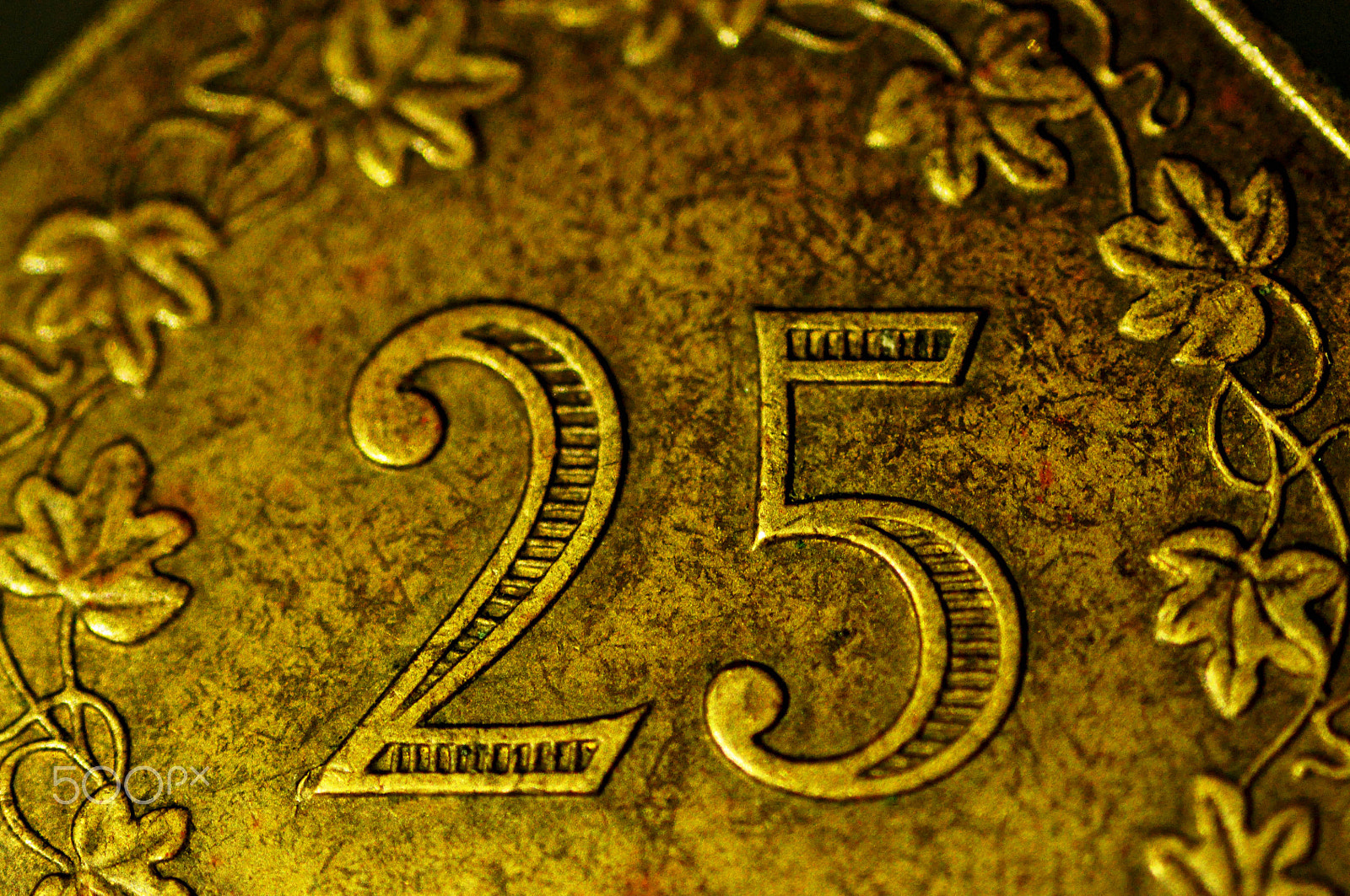Nikon D5000 + Sigma 105mm F2.8 EX DG Macro sample photo. 25 cents photography