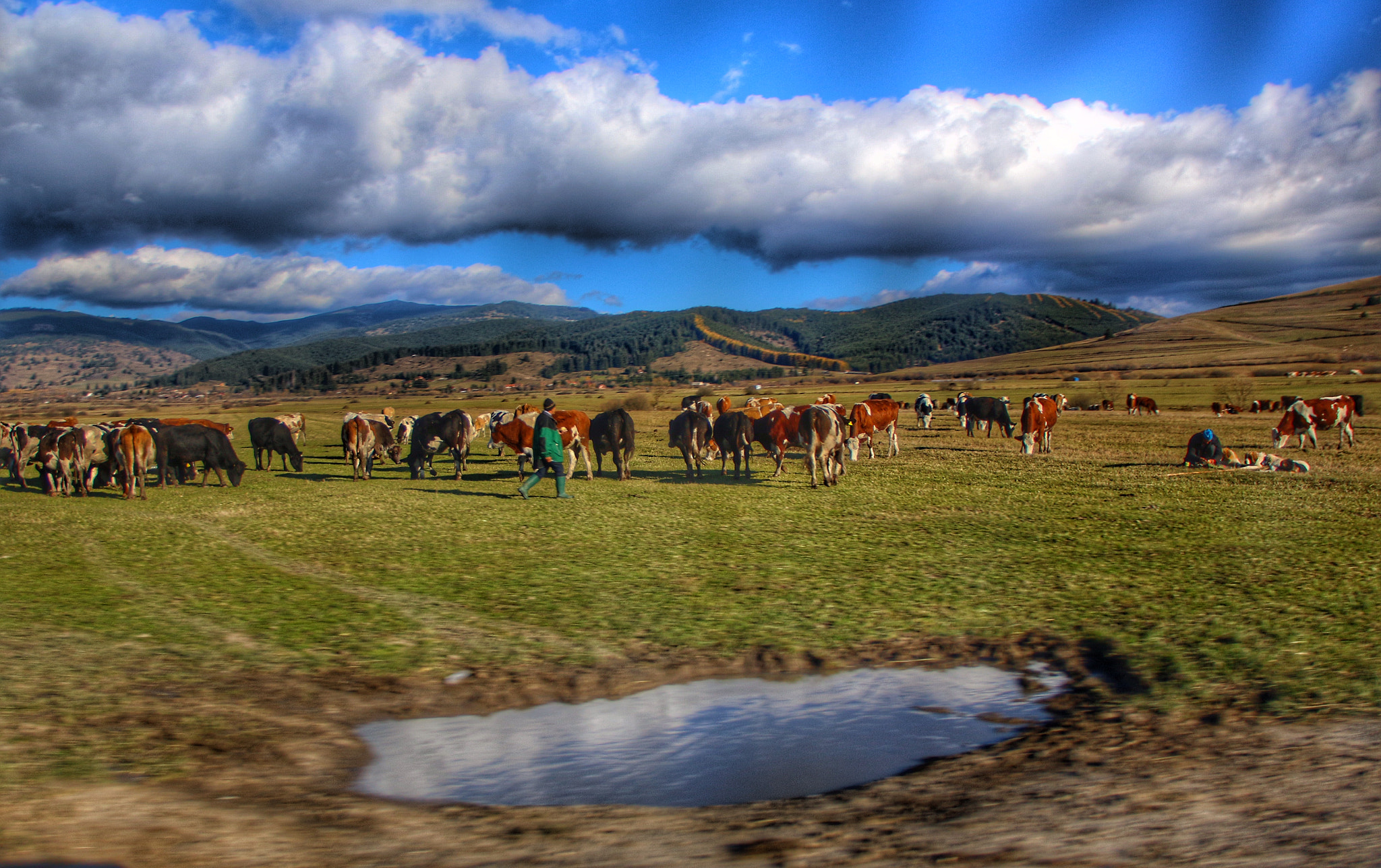 Sigma 18-125mm F3.8-5.6 DC OS HSM sample photo. Transylvania photography