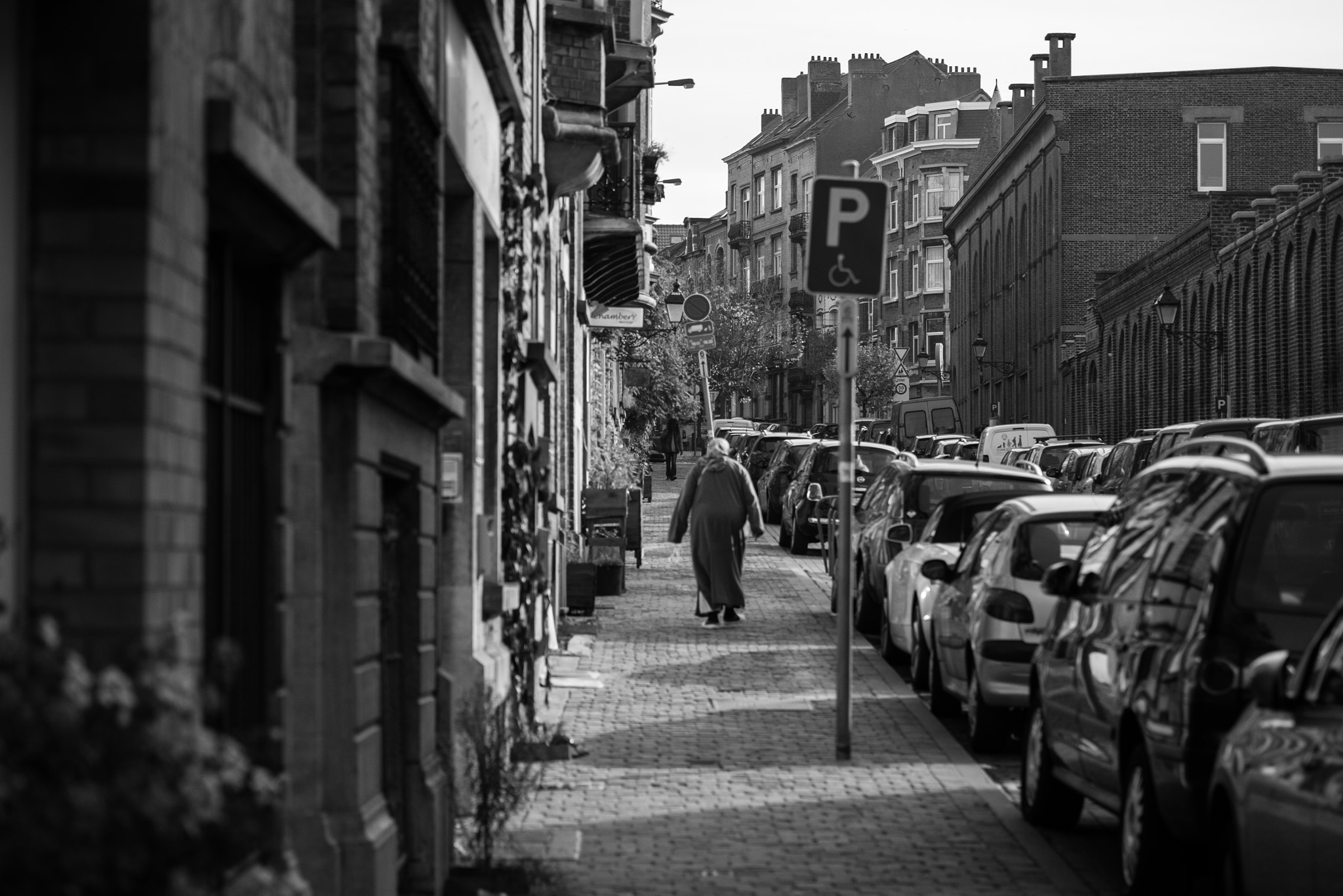 Fujifilm X-T10 + Fujifilm XF 60mm F2.4 R Macro sample photo. Brussels photography