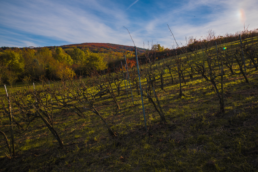 Sigma 12-24mm F4.5-5.6 II DG HSM sample photo. Light and shadow photography