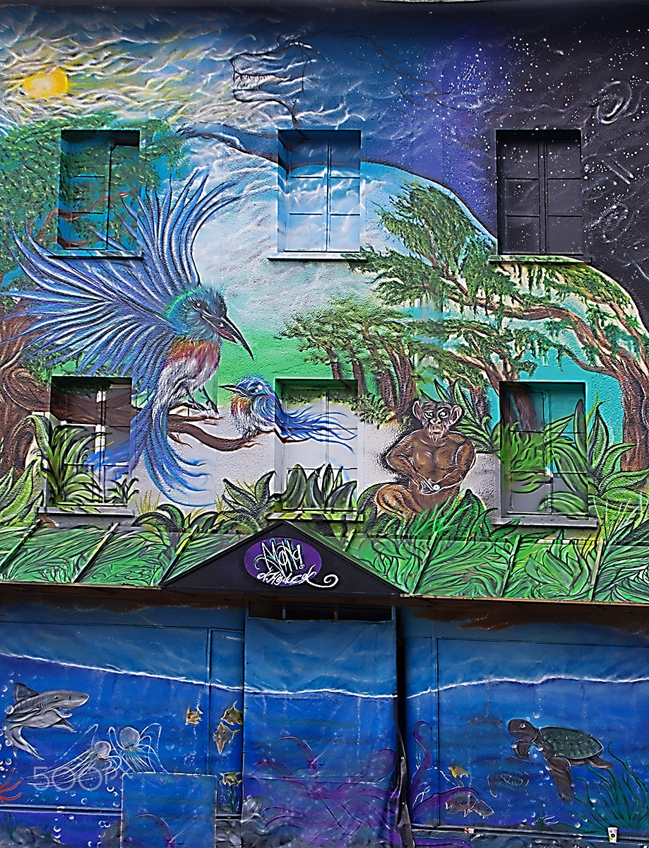 Tamron AF 18-200mm F3.5-6.3 XR Di II LD Aspherical (IF) Macro sample photo. Grafiti photography